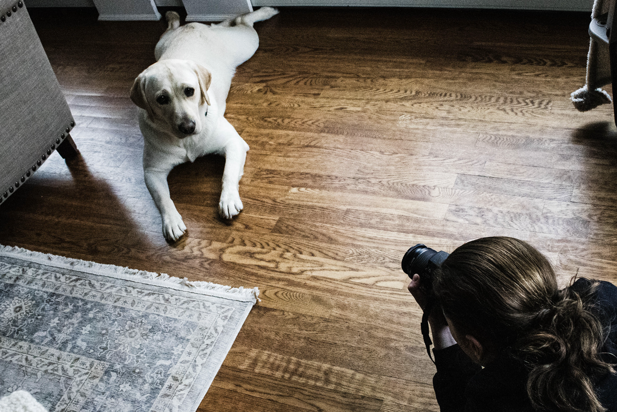 Screenshot 2026-01-05 at 7.28.26 AM.png