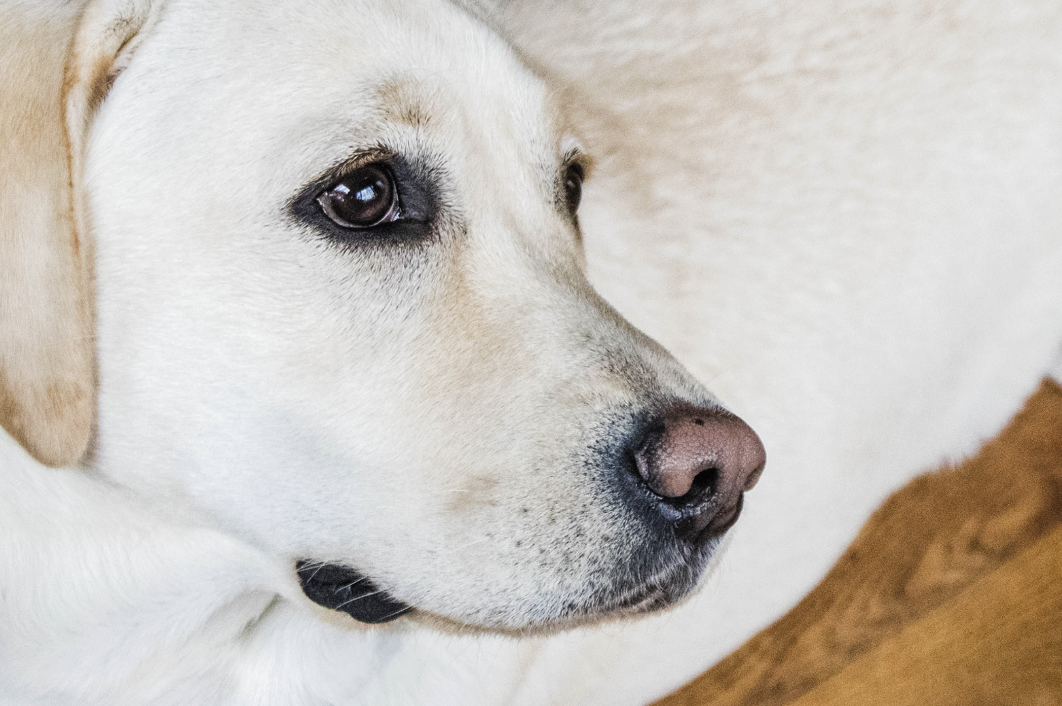 Screenshot 2026-01-05 at 7.28.07 AM.png