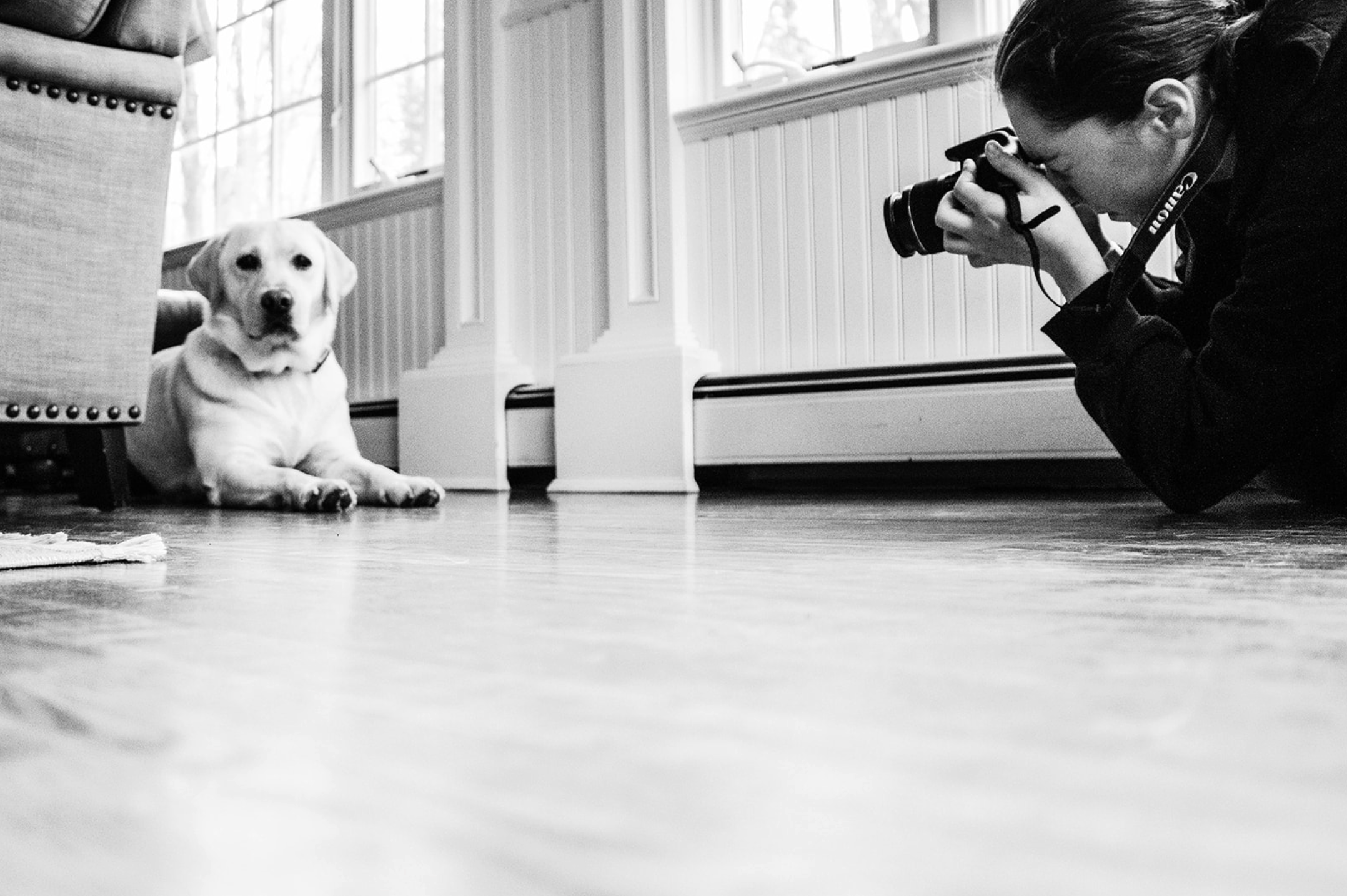 HOW DOES MY CAMERA WORK?