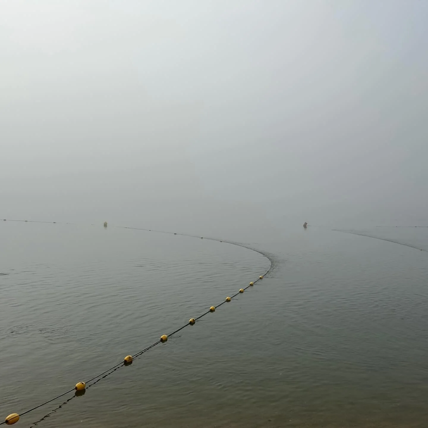 A new playlist to ease you into 2024. Music and Dreams (Spotify link up 👆) sometimes it&rsquo;s all you need.&hellip;❤️

#musicanddreams #divetothrive #coaching #executivecoaching