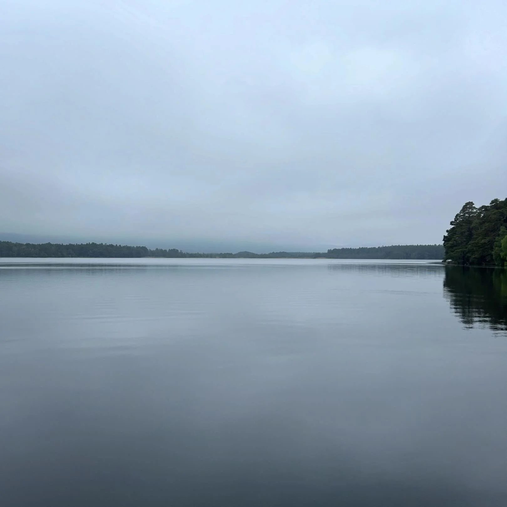 Morning swim Loch Garten&hellip;.

#cairngorms #cairngormnationalpark #lochgarten #yoasyogaretreats #dellofabernethy #divetothrive