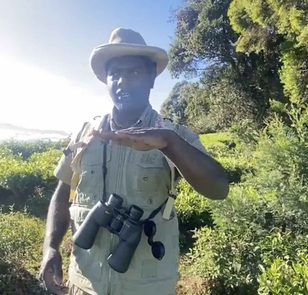 スクリーンショット 2023-10-05 19.52.49.png