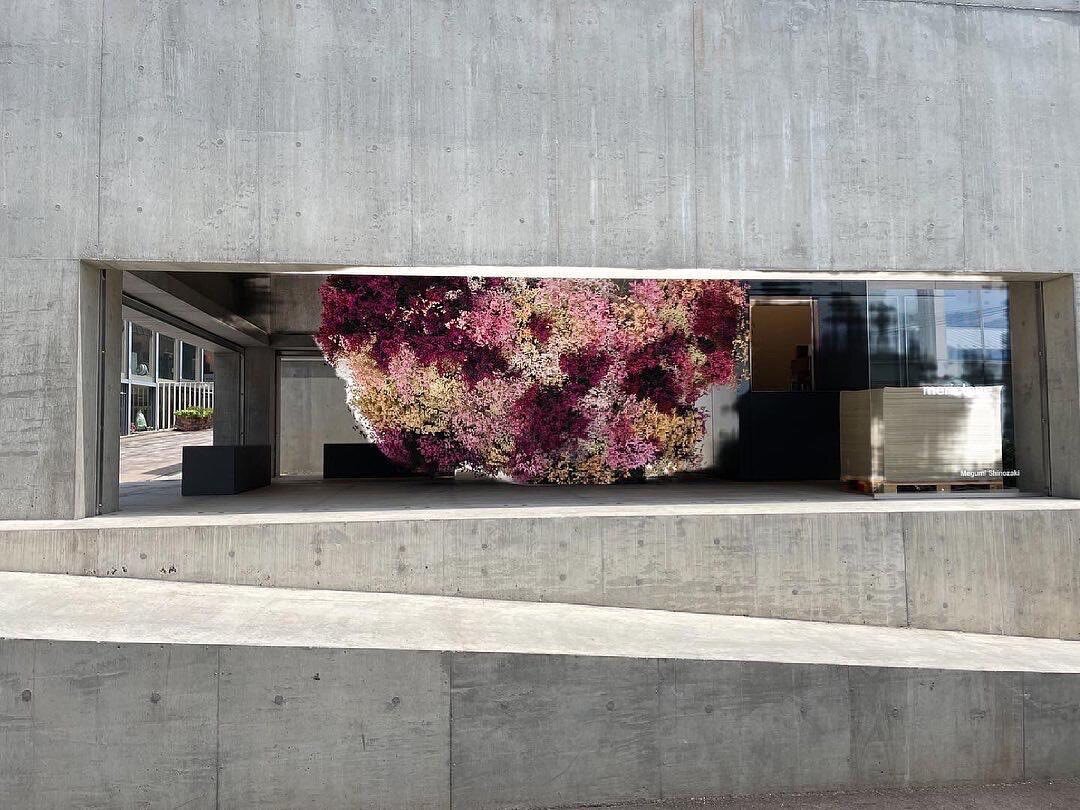 Wishing you a peaceful Sunday from the streets of Tokyo!⁣
⁣
Flower installation by @megumishinozaki⁣
⁣
Photo by Claudia Marguerie⁣
⁣
#ikebanaprojects #ikebana #生け花 #contemporaryikebana #tokyo #東京 #contemporaryart #japaneseartist #flowerinstallation #