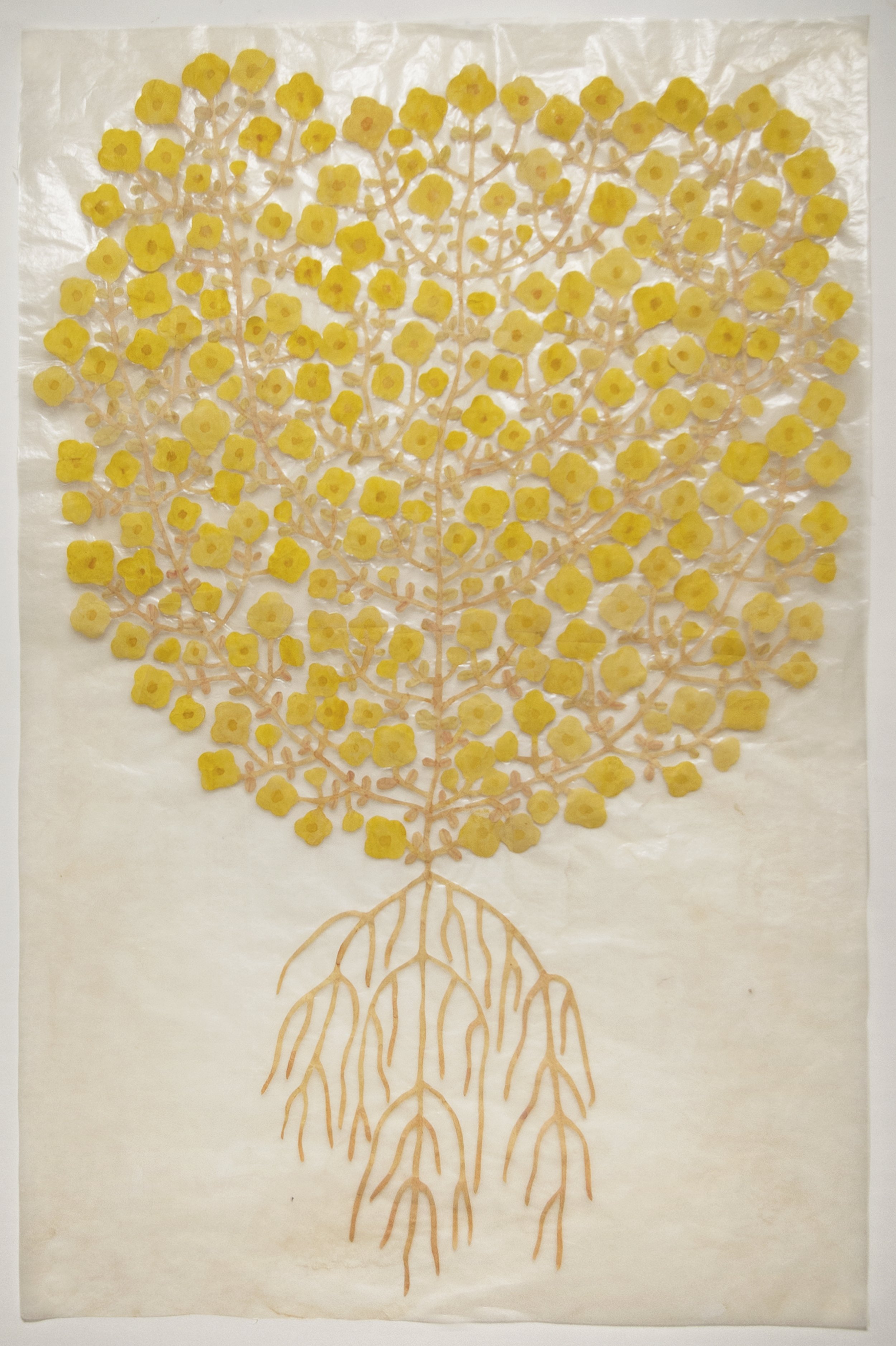 Fumi Imamura, One Flower (yellow), 2022