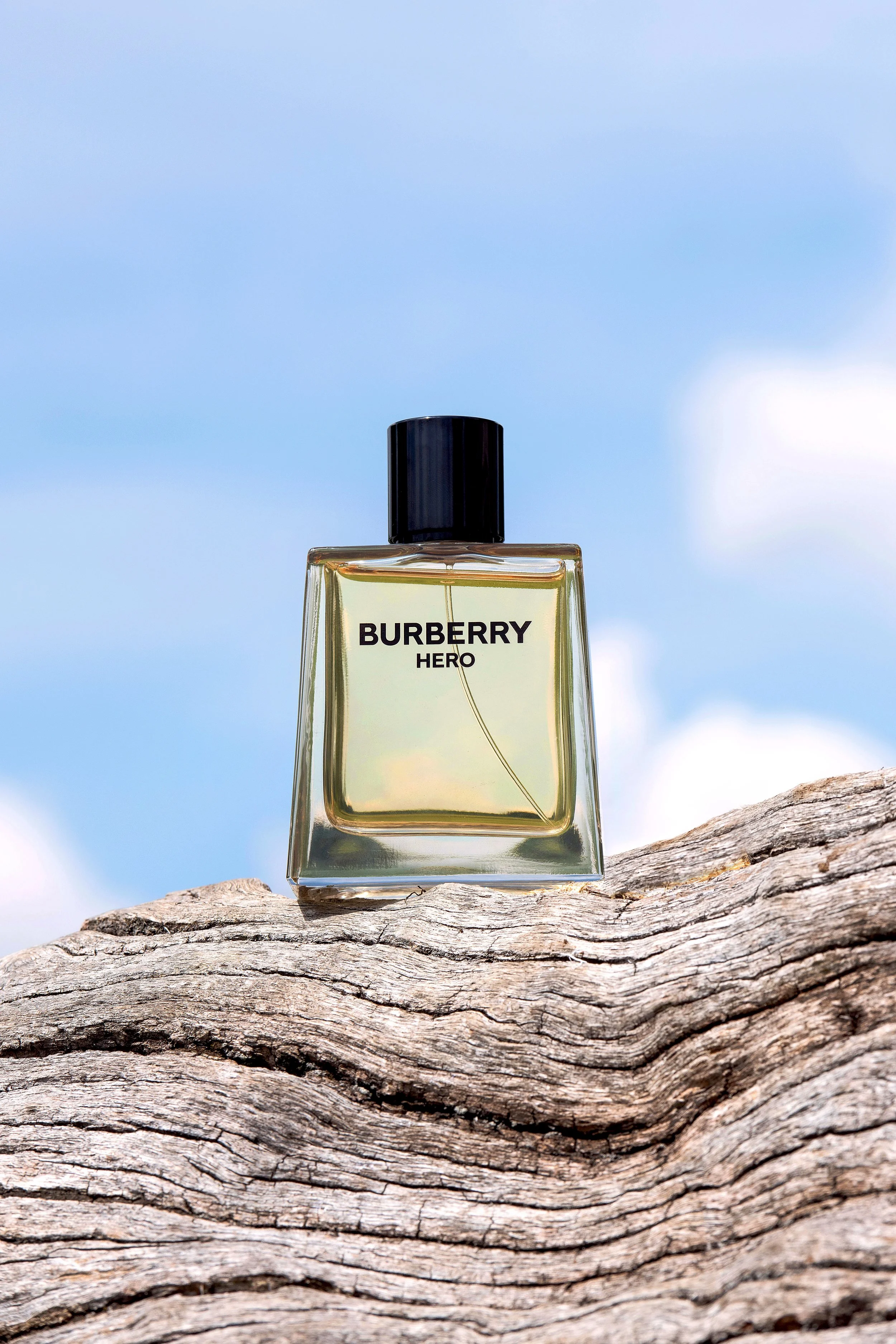 BURBERRY HERO