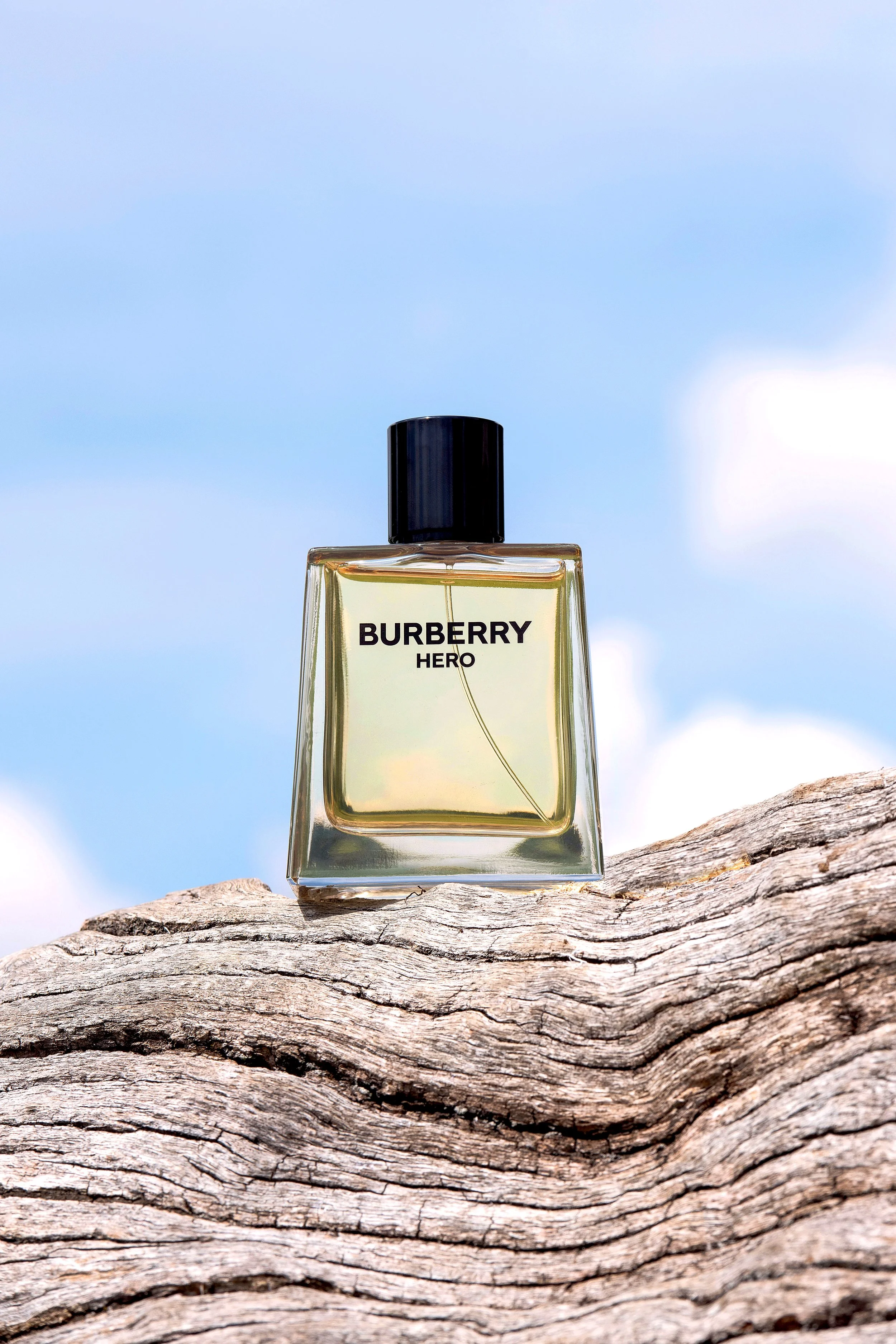 BURBERRY HERO