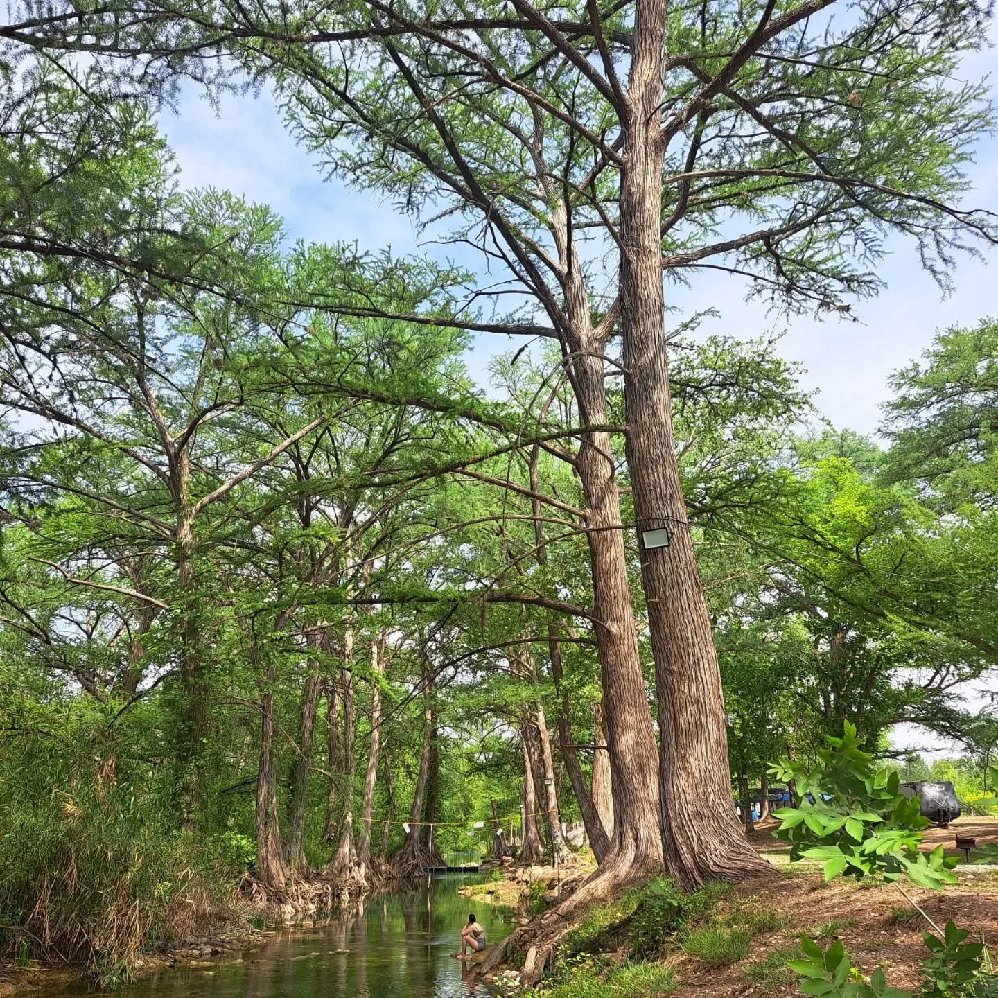 Emily and I spent the day today at Rio Sabinas near Muzquiz today.

We swam in the river with the fishes and dragonflies.

We journaled and read and visited.

We are space for dreams and inspiration and ideas and for nothing at all.

Adios, Mexico. Y