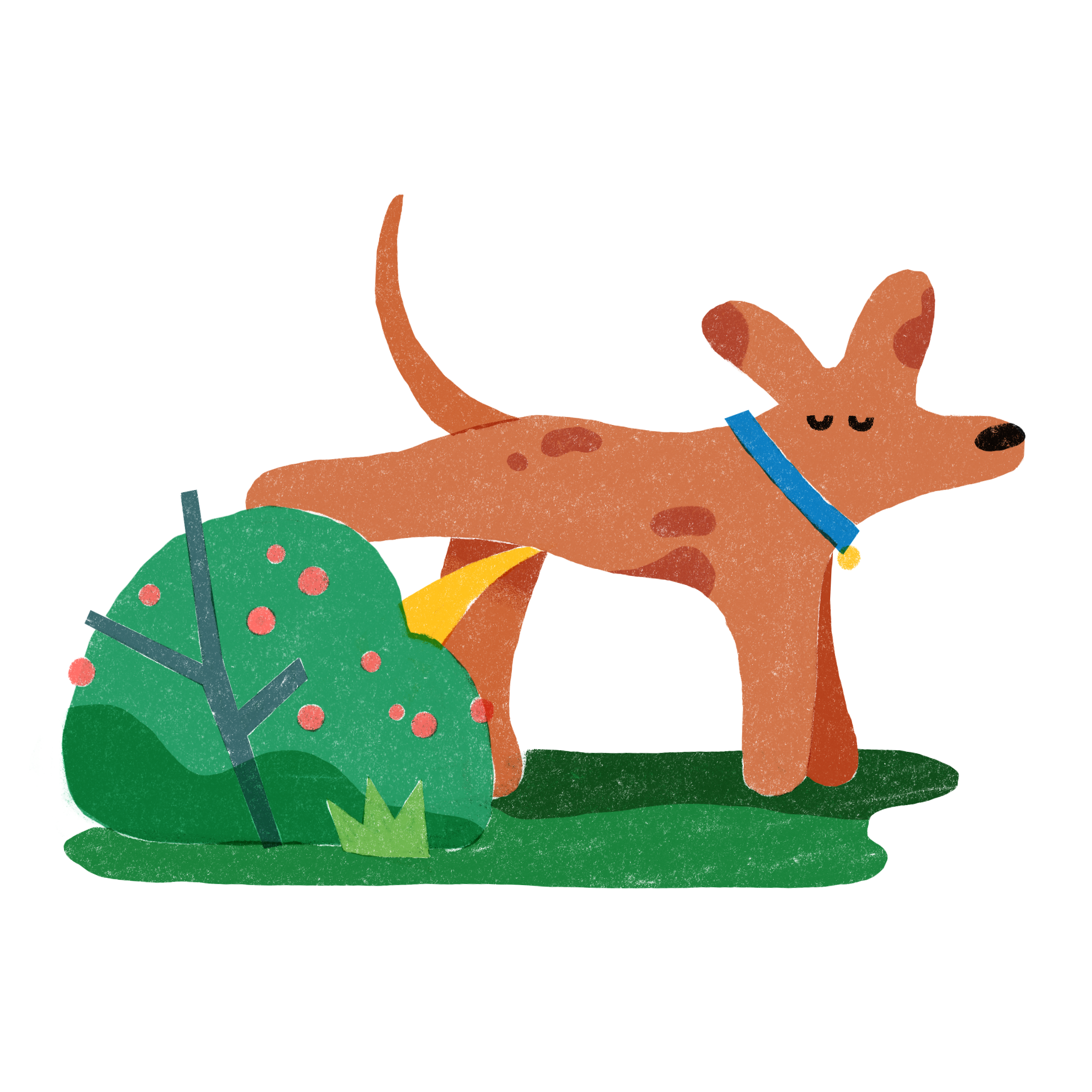 _Dog_That_Waters_Plants.png
