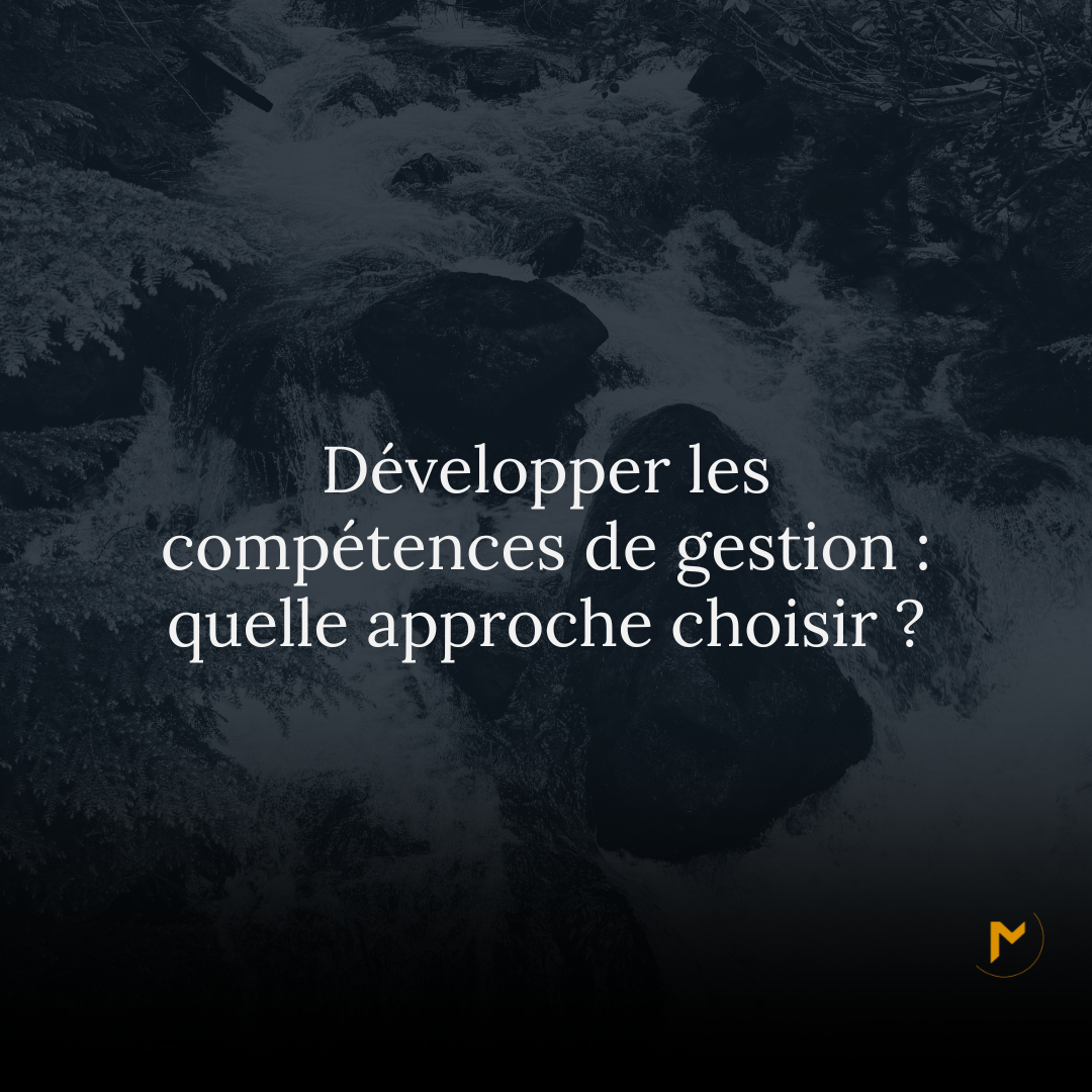 Développer les compétences de gestion : quelle approche choisir ?