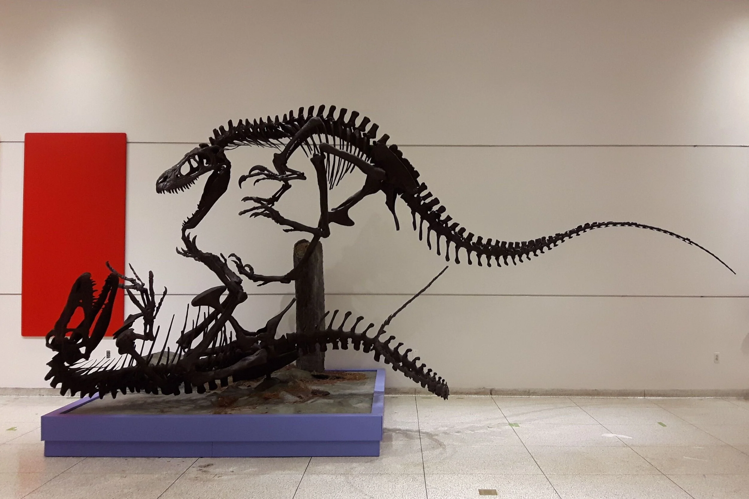 Quinte Museum of Natural History