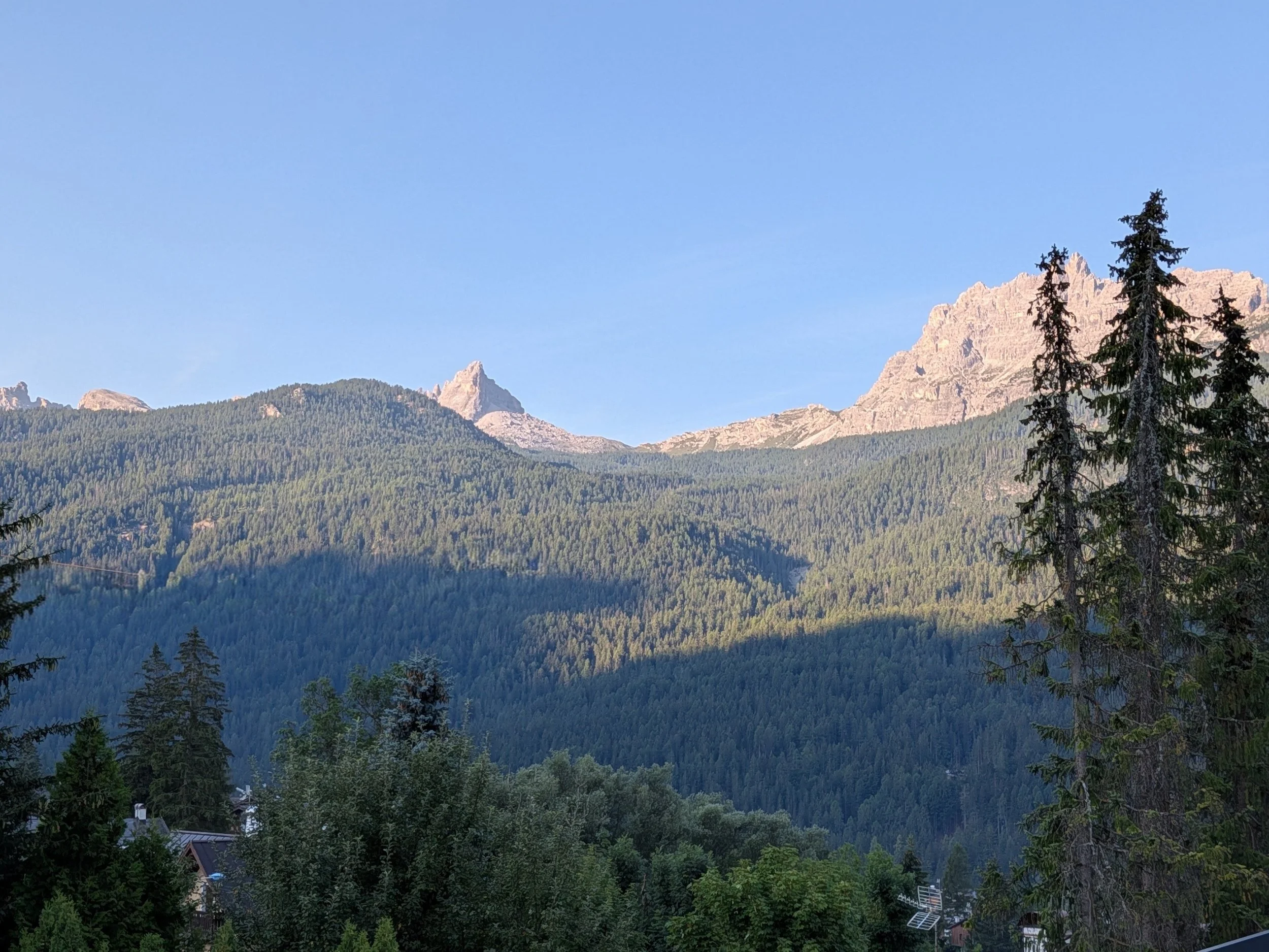 processed_10769.jpg