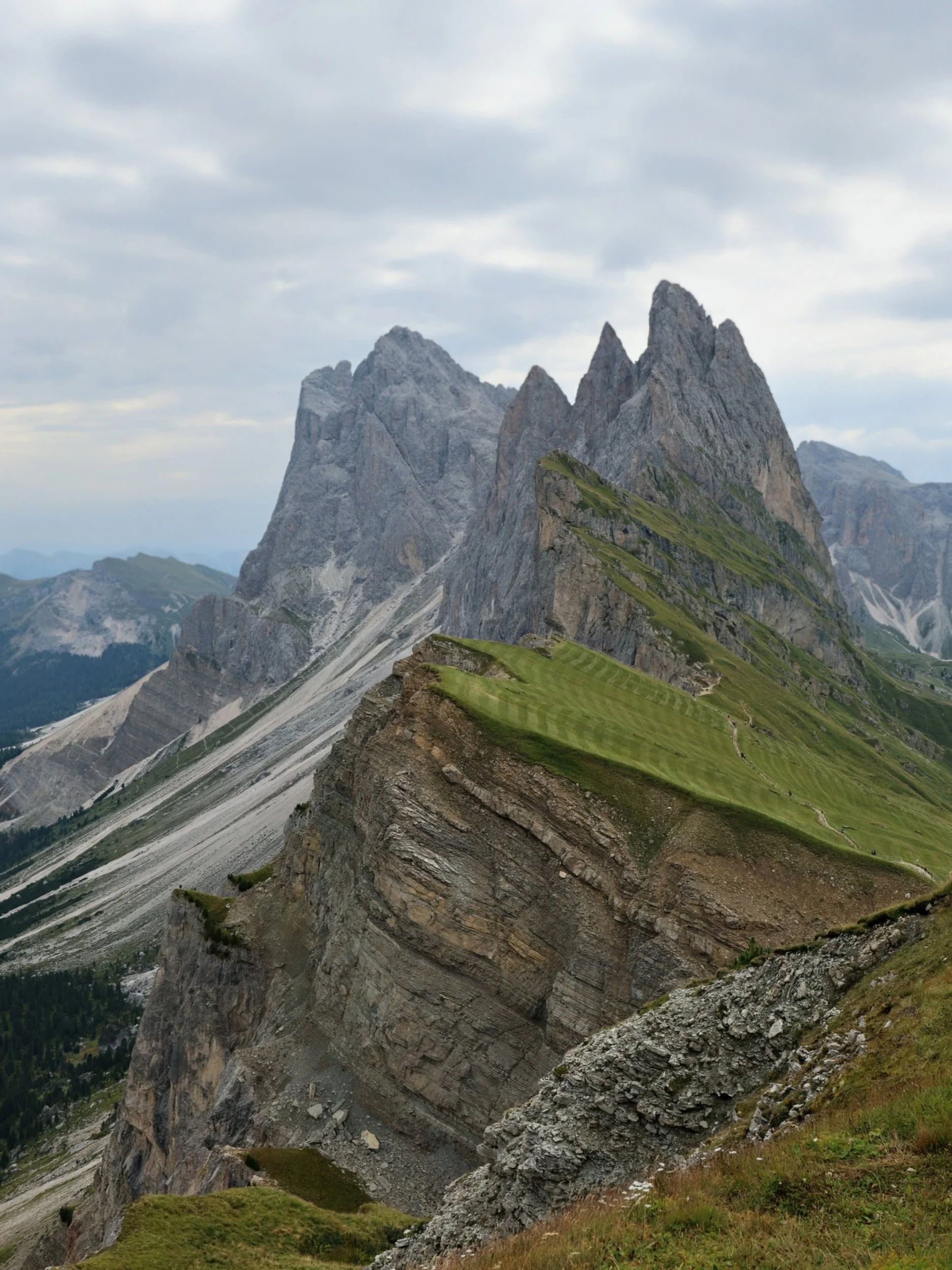 processed_11390.jpg