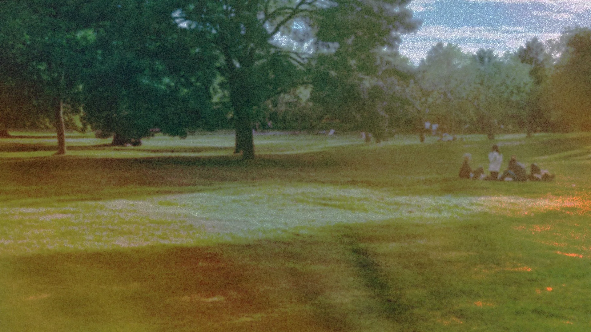 ROG_SundayatthePark_Website_26.jpg