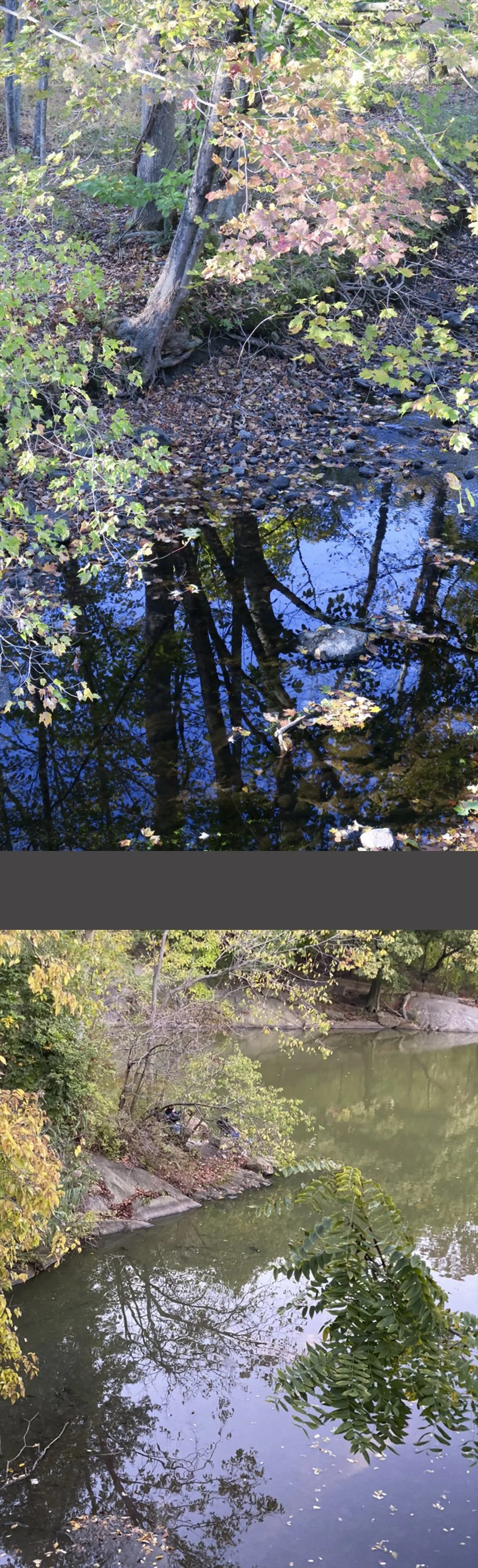 Here are some local watery spots.