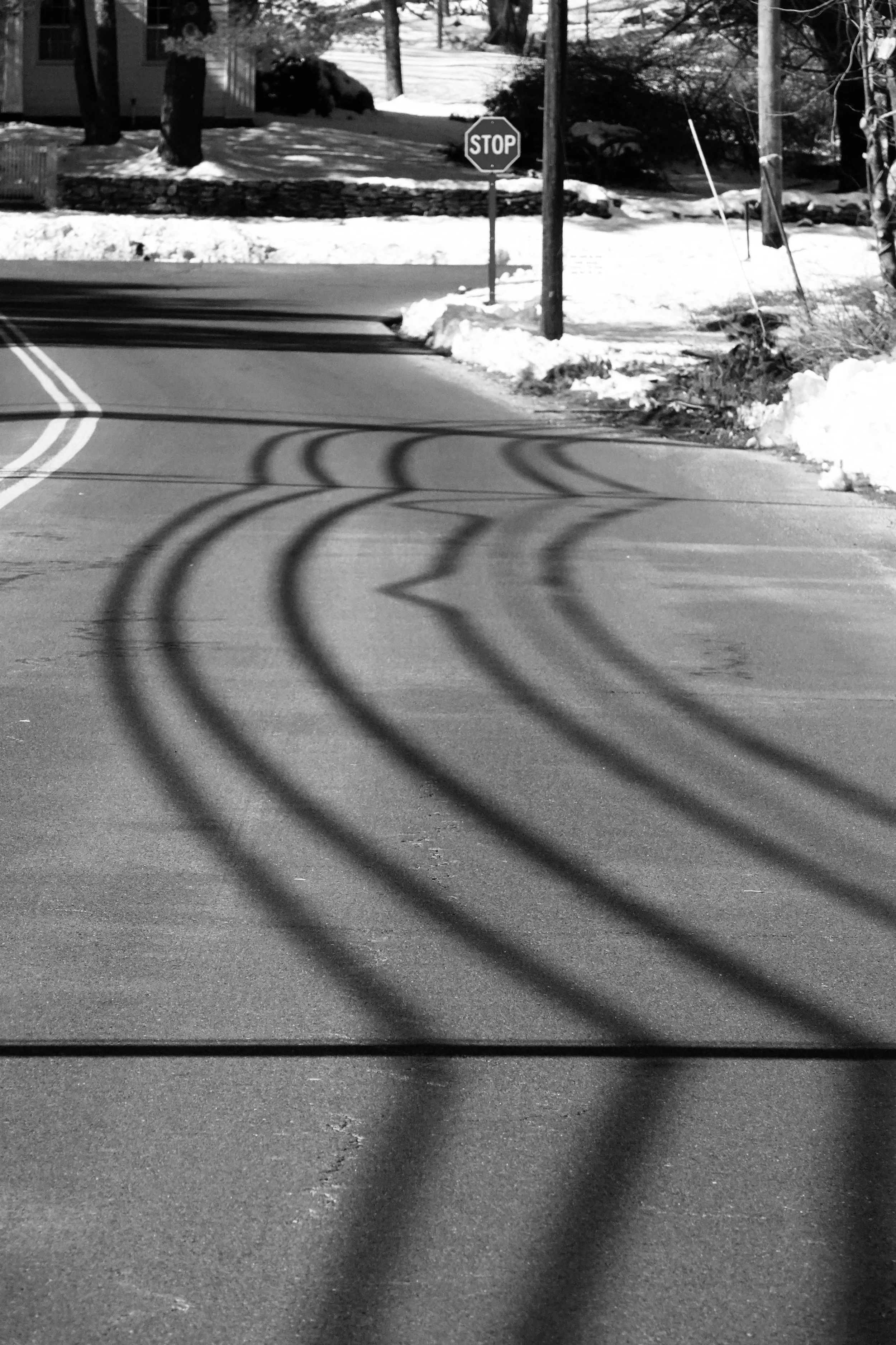  Electric overhead cables often provide graceful shadows. Light may provide the key ingredient for photography, but shadows provide the flavor, add depth, shape and texture. 