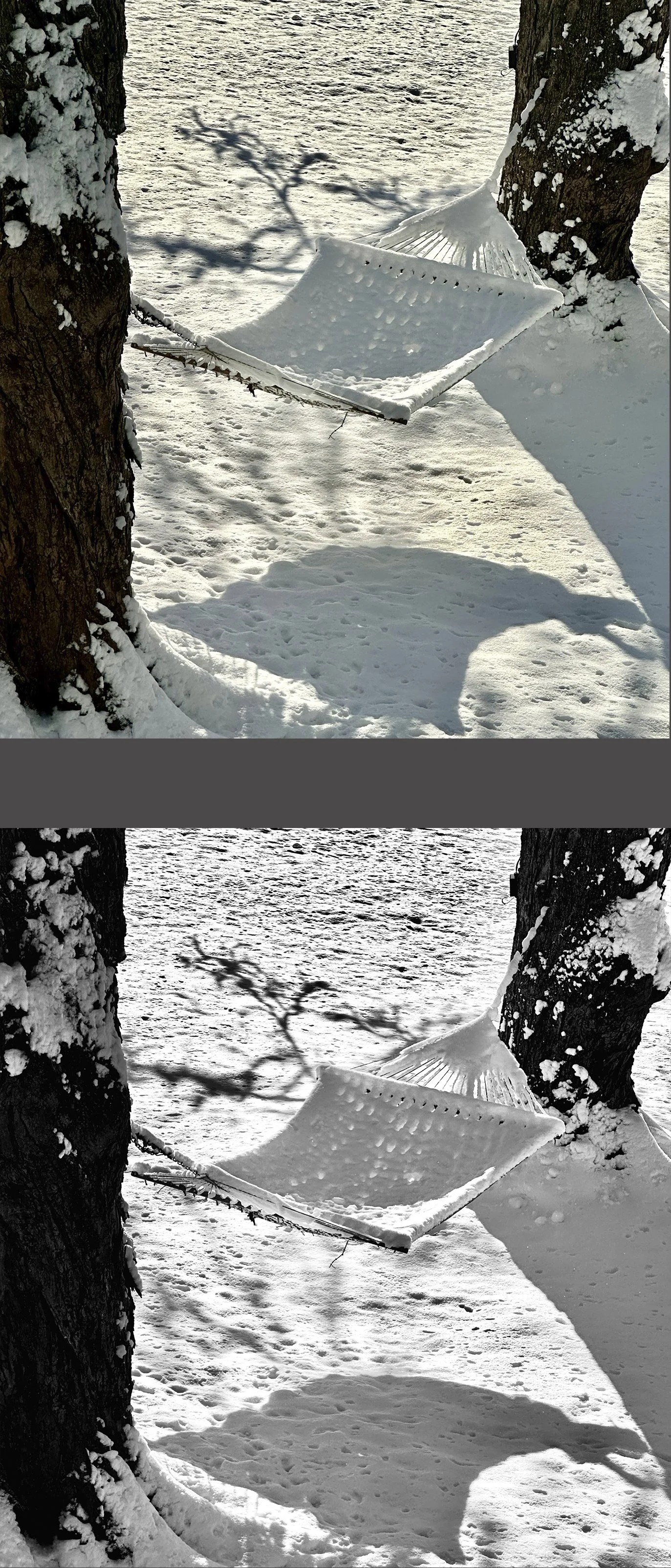  On this one, the clarity of the filtered version appeals more to me. 