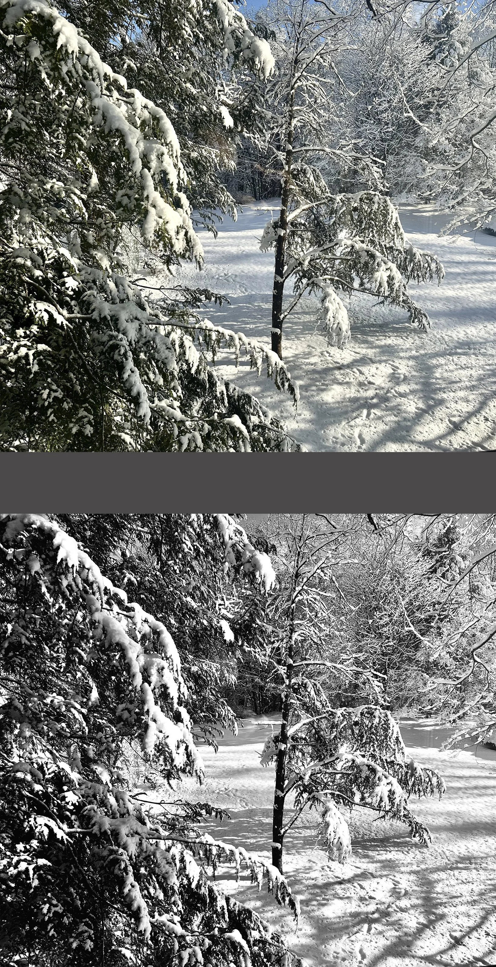  There’s not much difference here – which do you like best? 