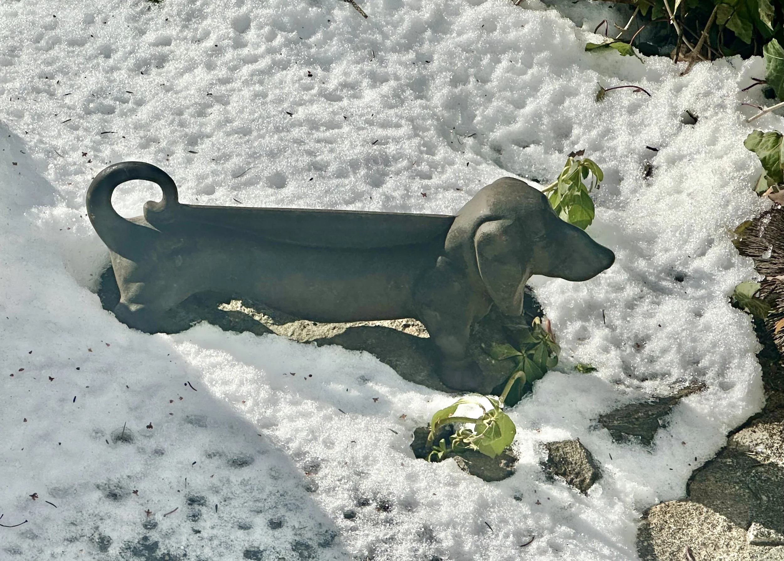  This guy isn't one of the six. . .  