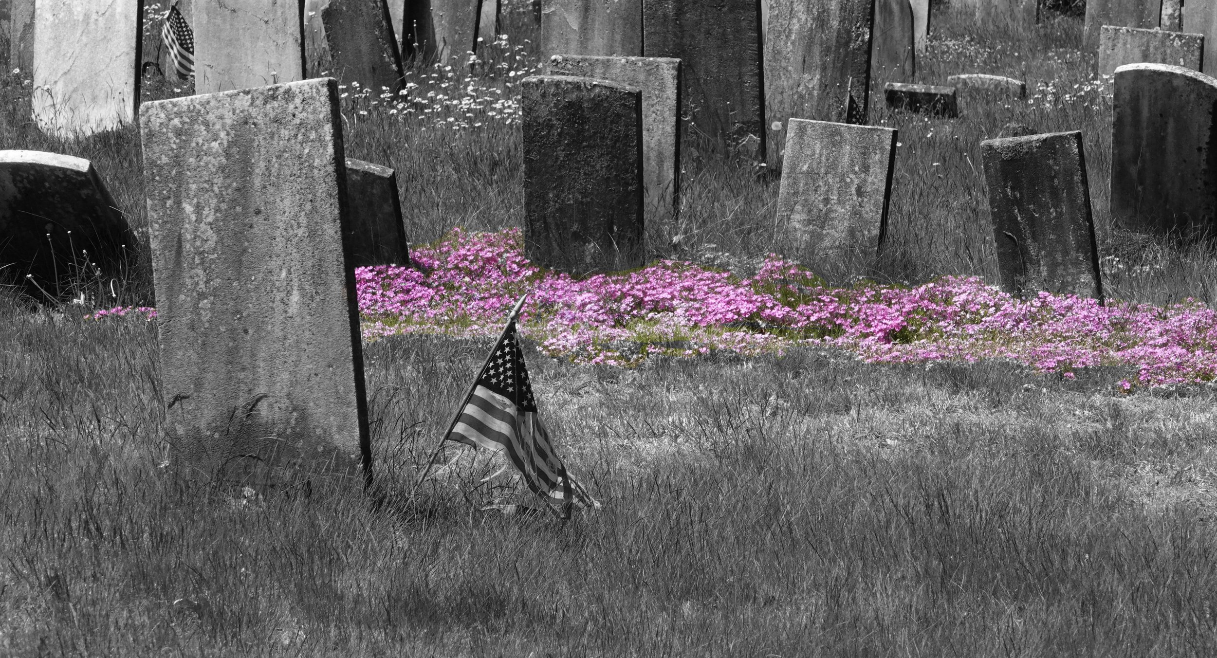  A patch of colorful flora stands out at a Connecticut cemetery. 