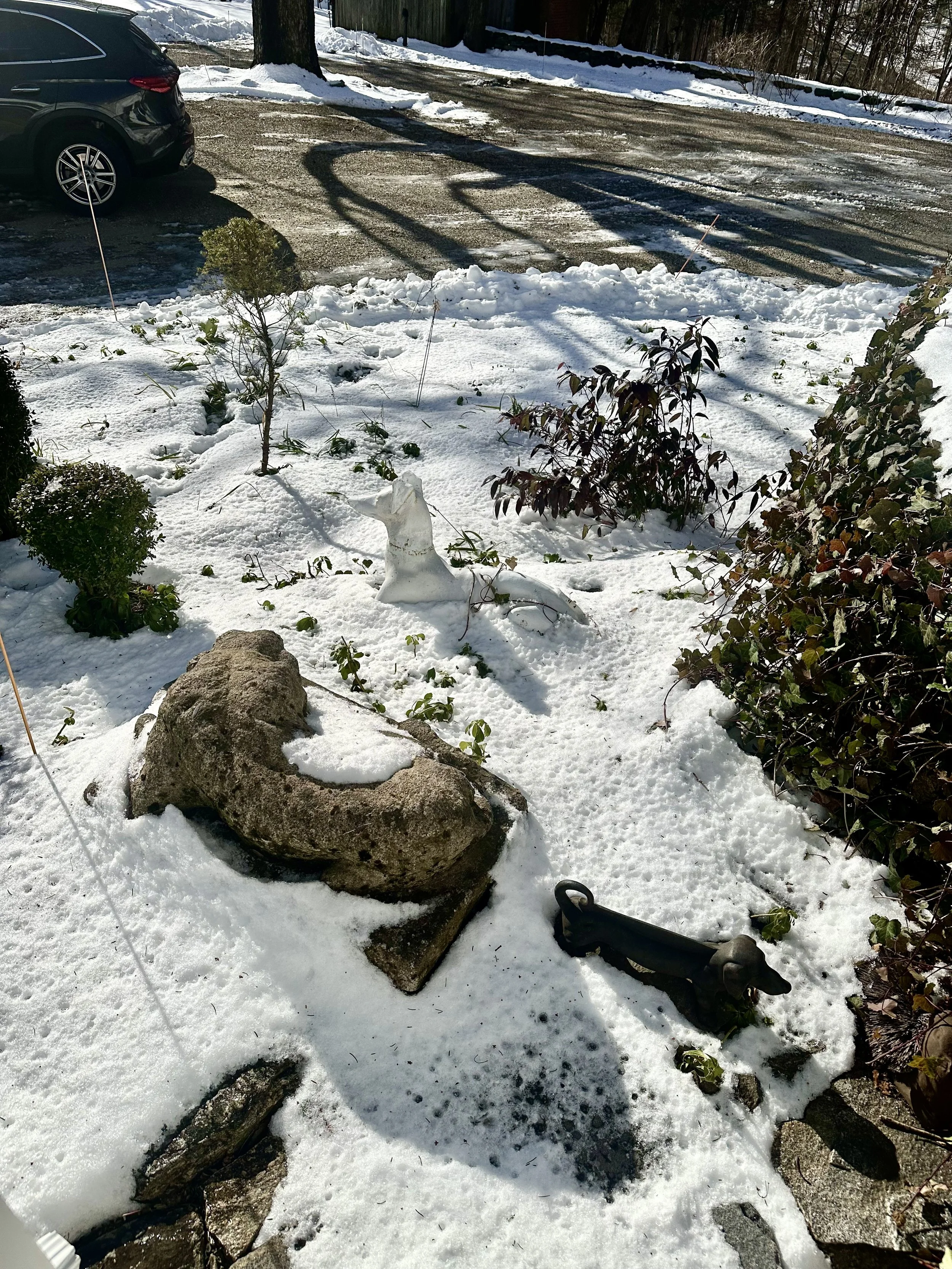  Now it’s the next day, and the sun has finally decided to make  an appearance. 