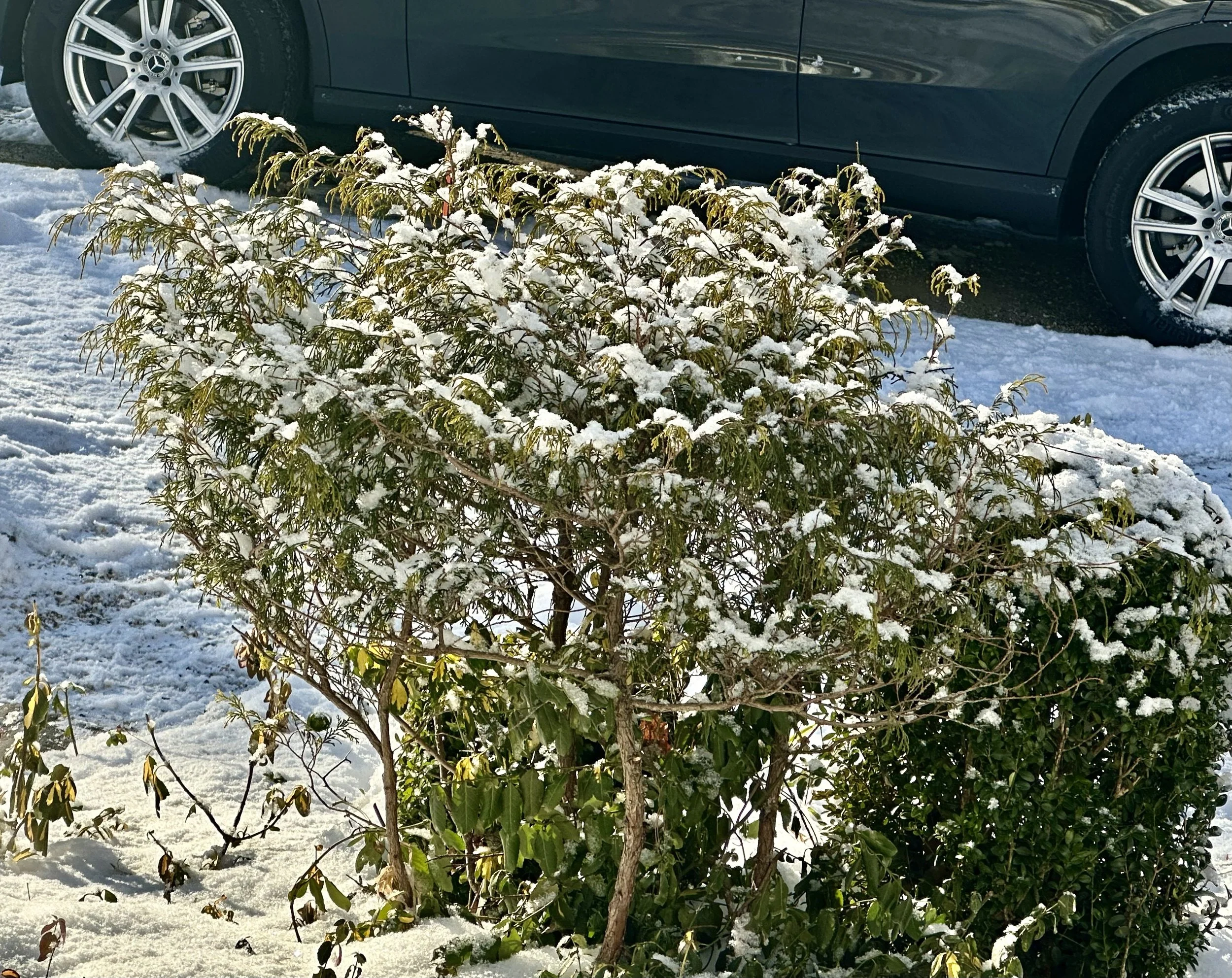  As our time in CT came to an end, we still had about half the remnants of the big snow. 