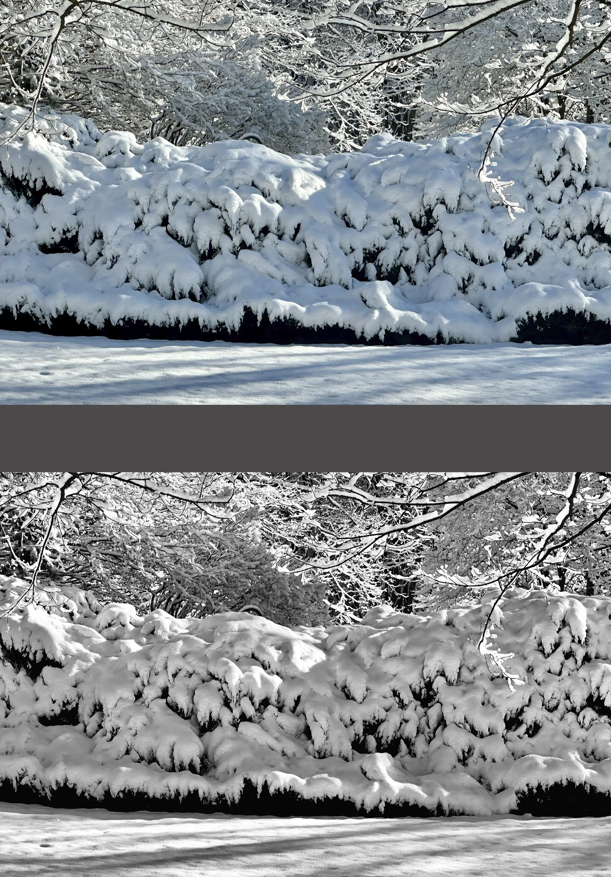 That posed a new photographic decision to be made. All my prior snow pix in this portfolio were photographed in color. On most computer photo apps (like mine), you can apply a black & white filter to the color photo, as I’ve done here; and this often