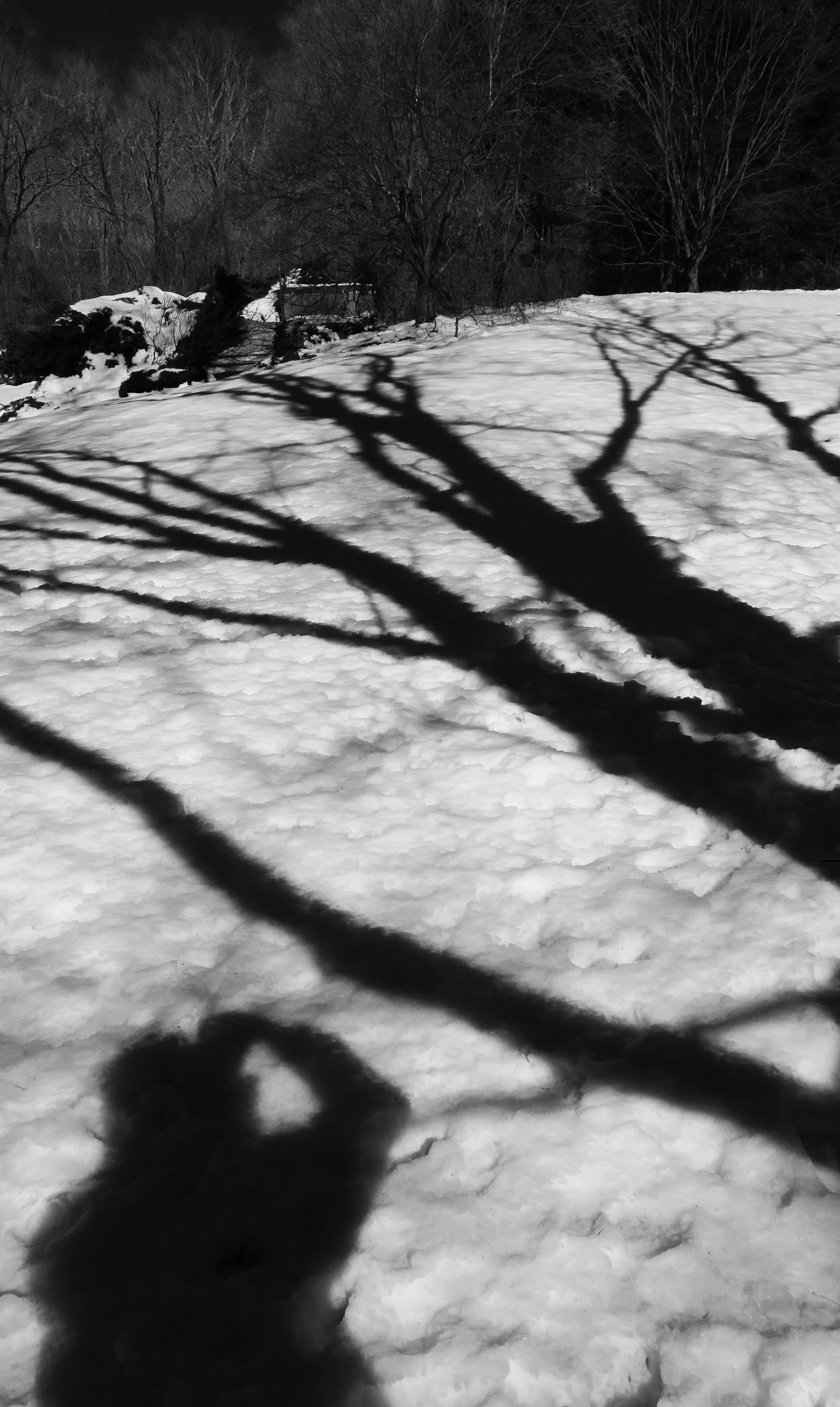 Photographing Shadows