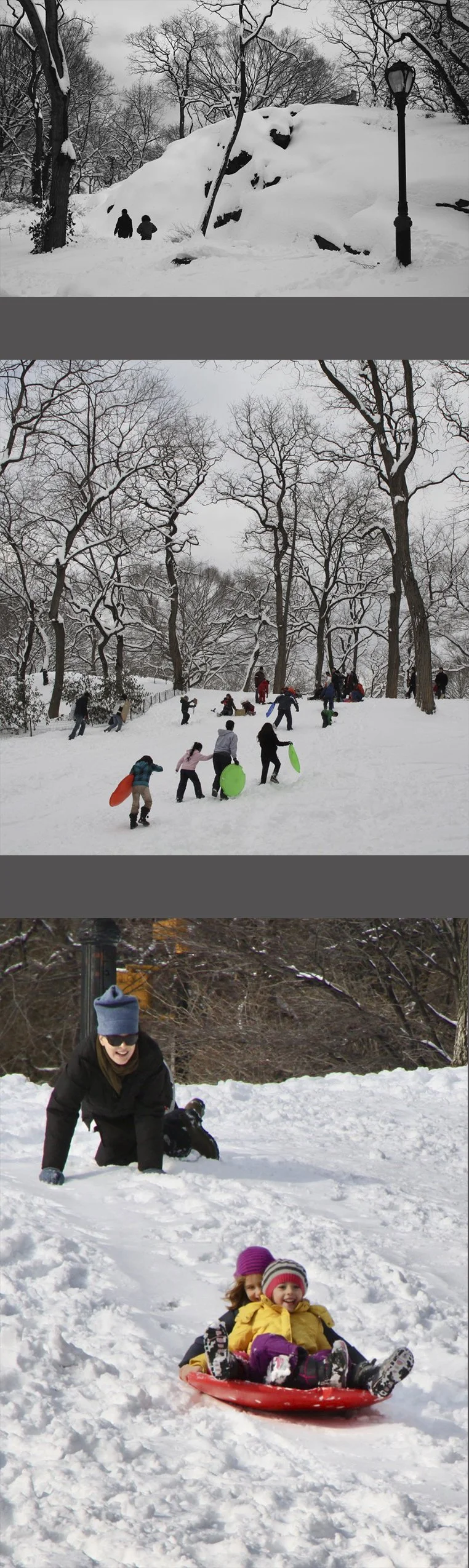  Kids were thrilled at the sledding possibilities offered in the Park  by the blizzard . . . . 