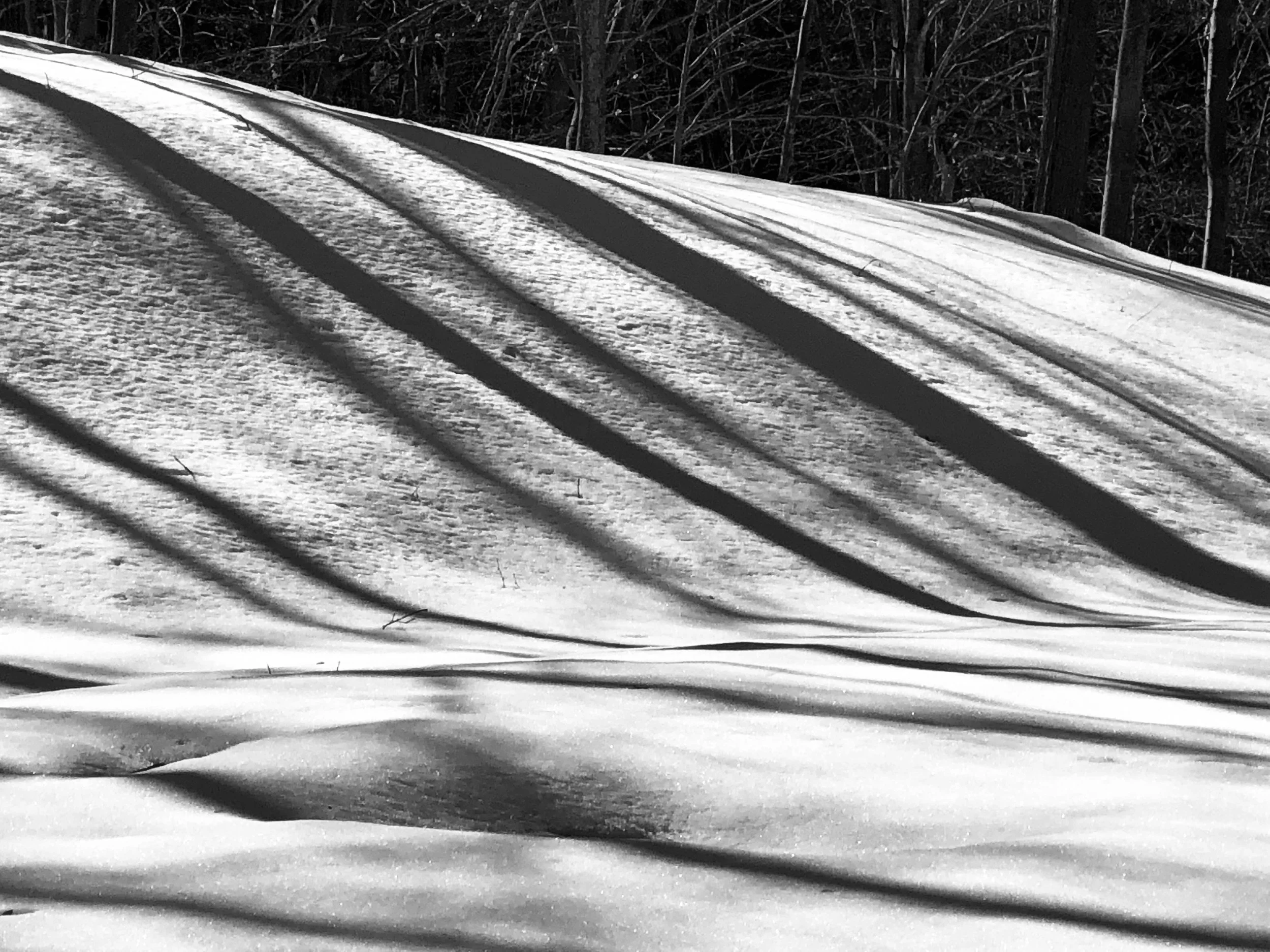  – and then really coming into their own. 