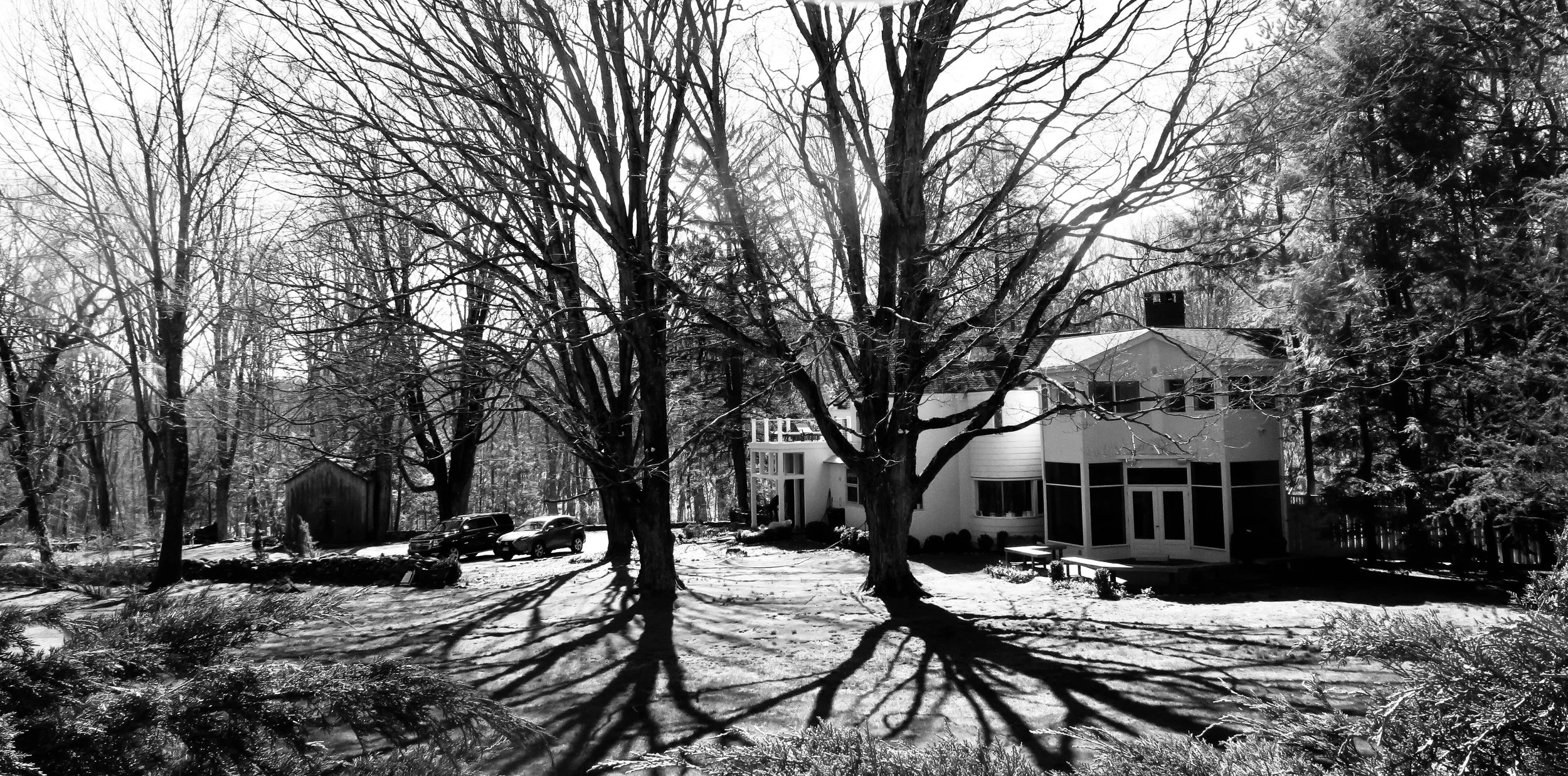  Trees are still the most plentiful sources of shadow, as in this wide-angle shot from behind our Easton, CT house. 