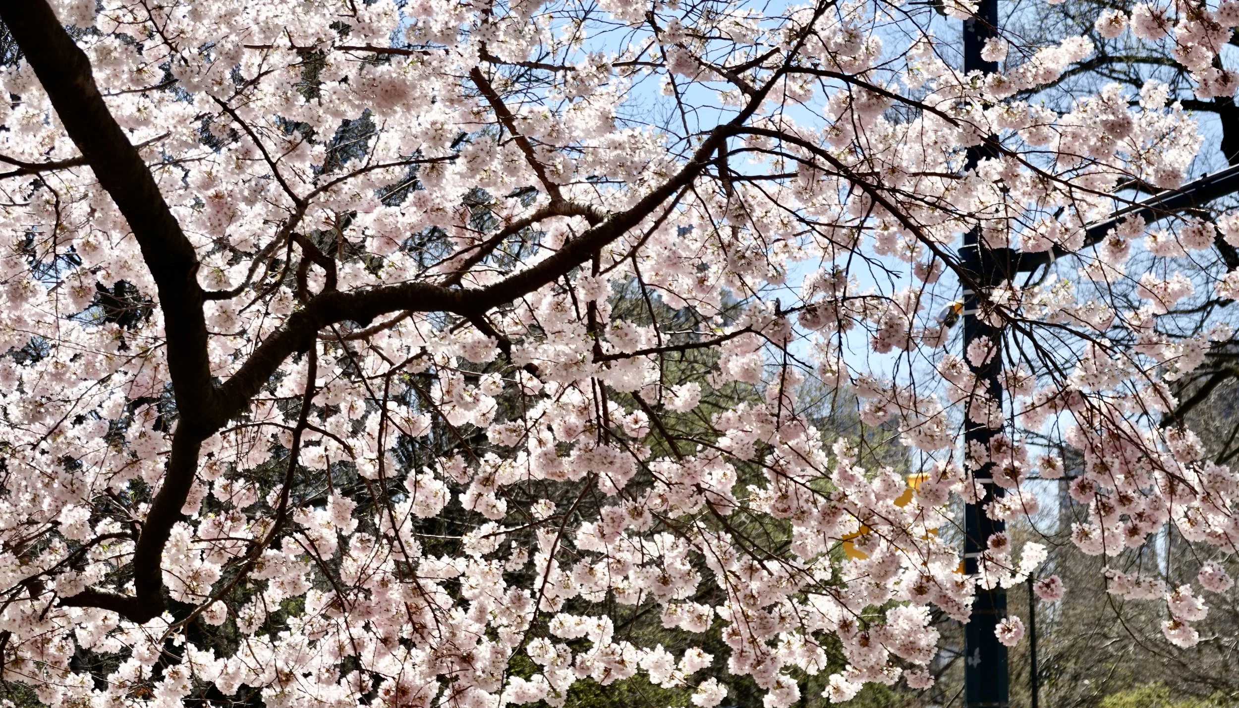  . . . a bit further away. . . .  