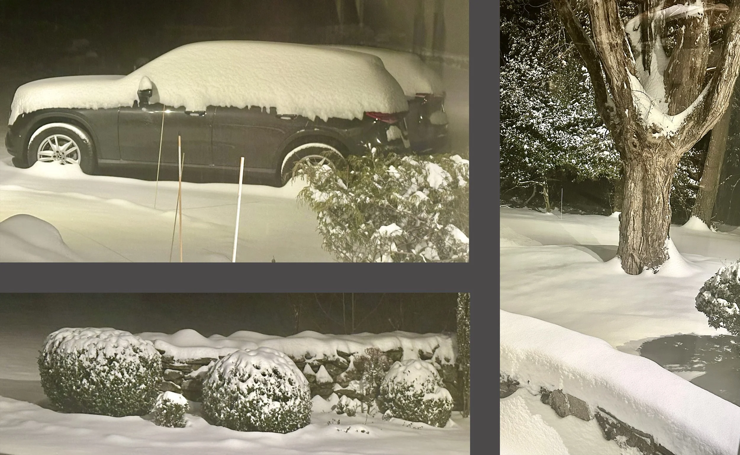  . . . But that evening, the snow began to fall and I started to take pictures – all of which in this portfolio were taken through glass from inside the house (no slippery falls outside for me). 