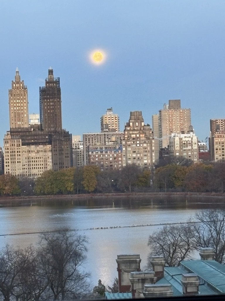 The best view from Judy’s bedroom window is across the Reservoir and Central Park to the apartment houses of Central Park West – especially the twin towers of the Eldorado.