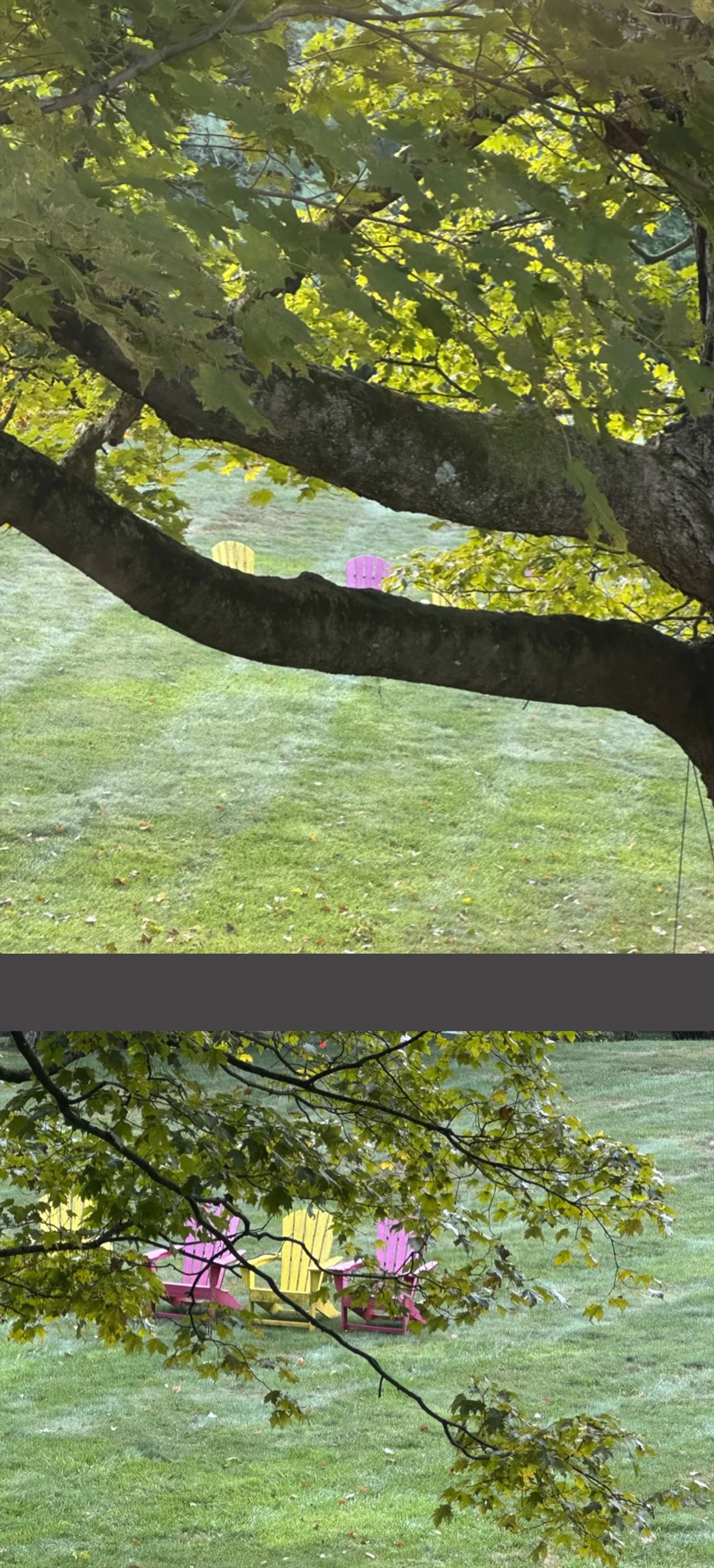 Here you can glimpse our lawn chairs through the leaves.