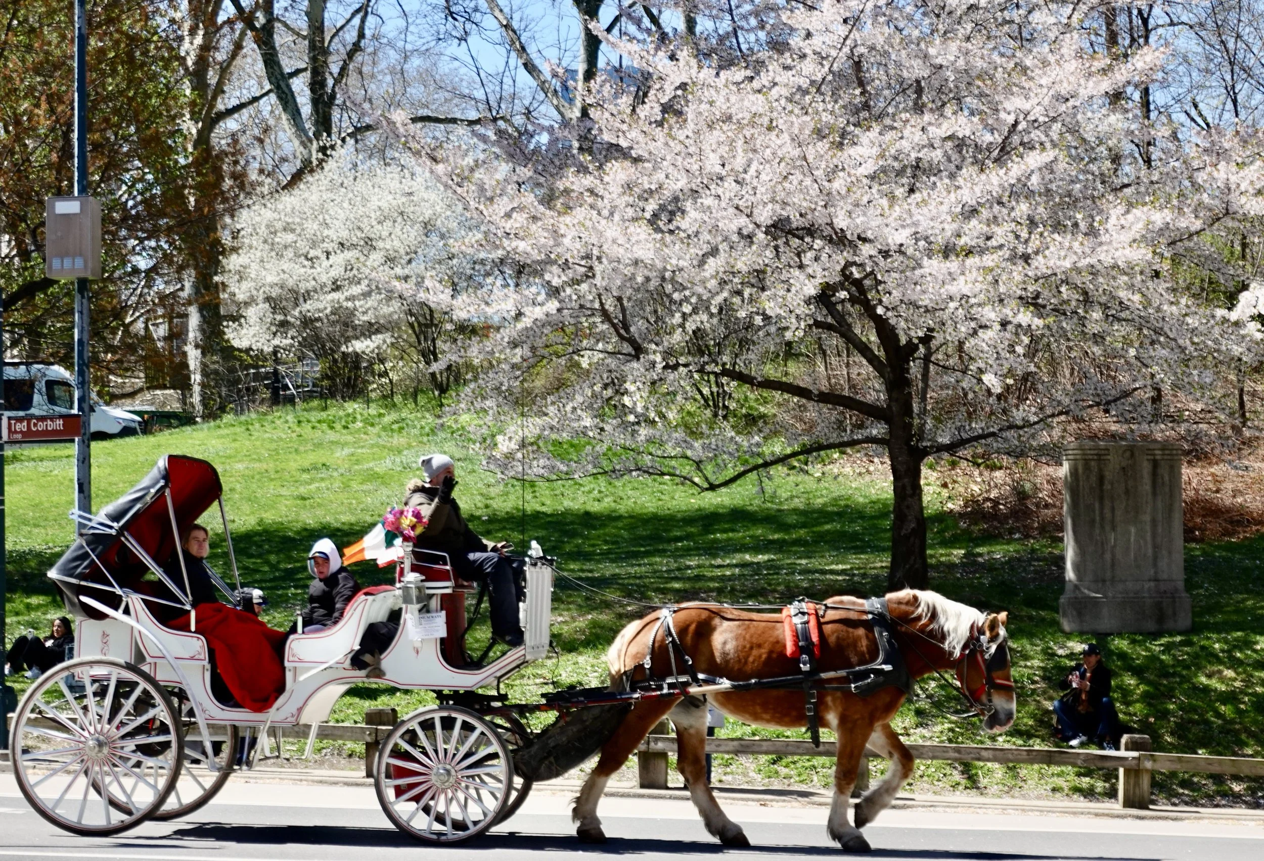  But I prefer the old-fashioned means of park transportation. 