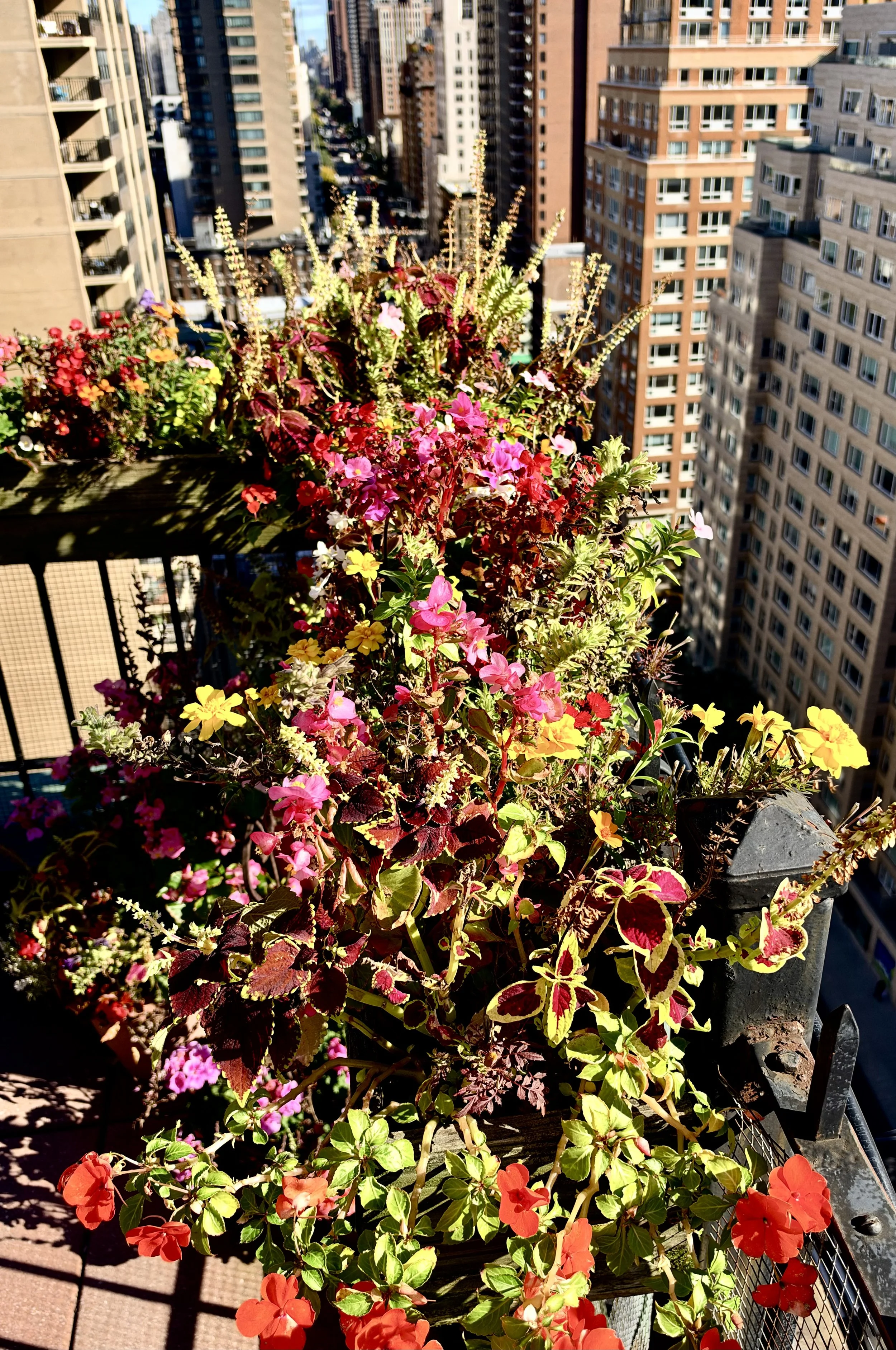  The flowers here are atop a view of Third Avenue looking north. 