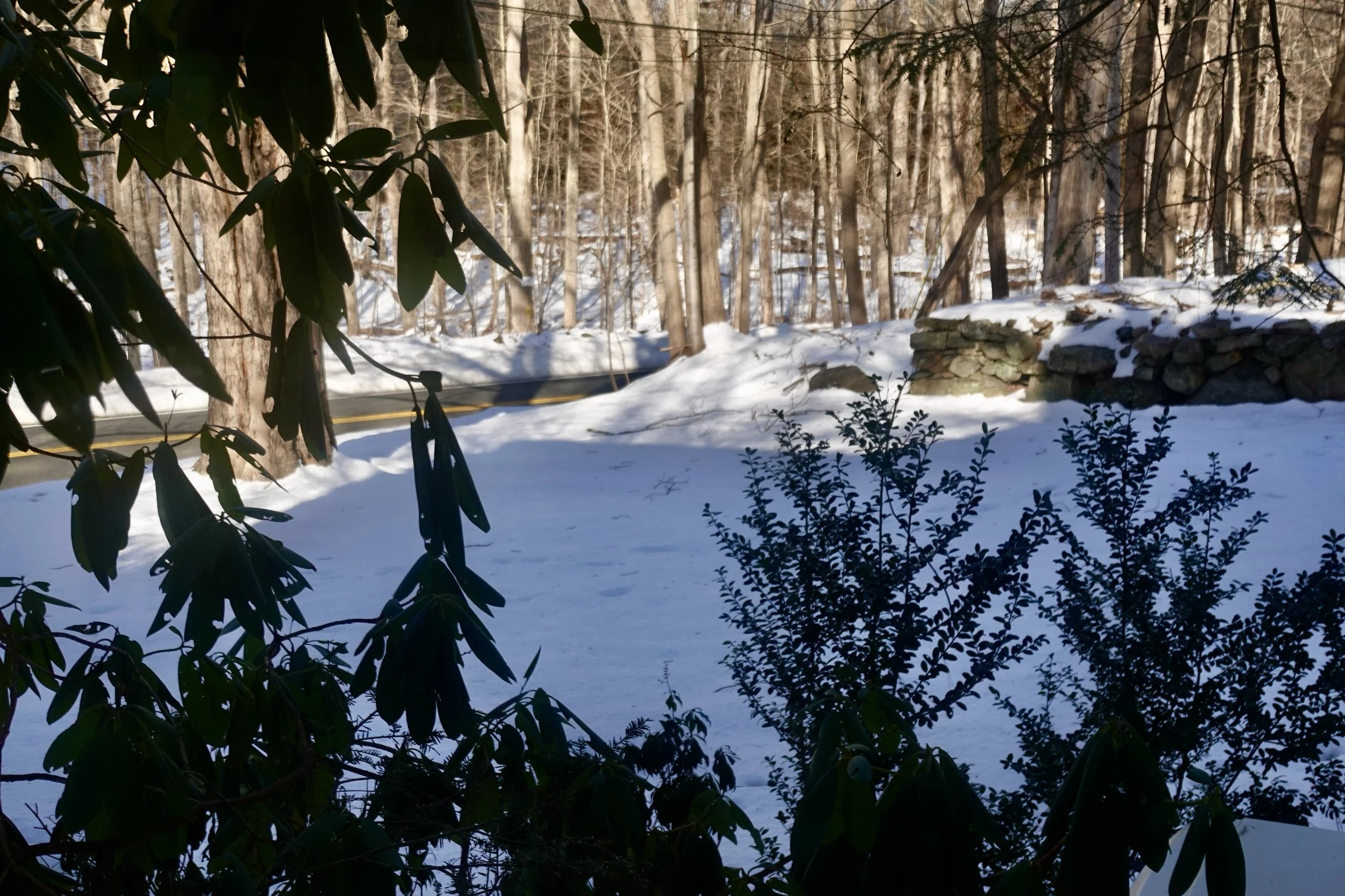  Our view of the road from a downstairs window. 