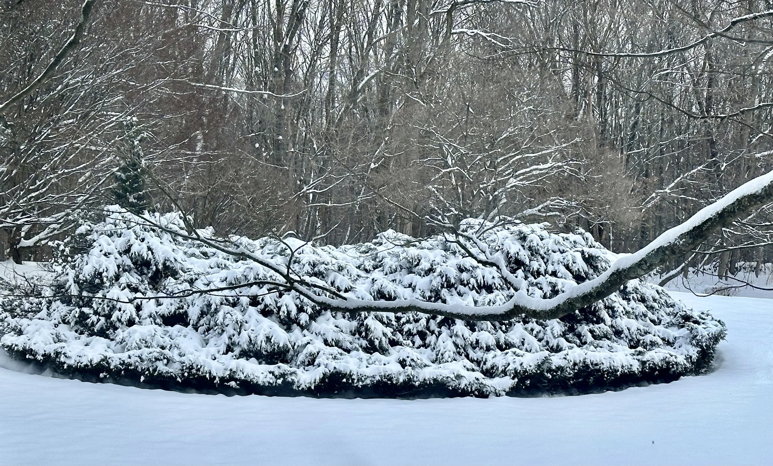  The snow-covered structure pictured here surrounds a hot tub  that received little attention during these two weeks. 