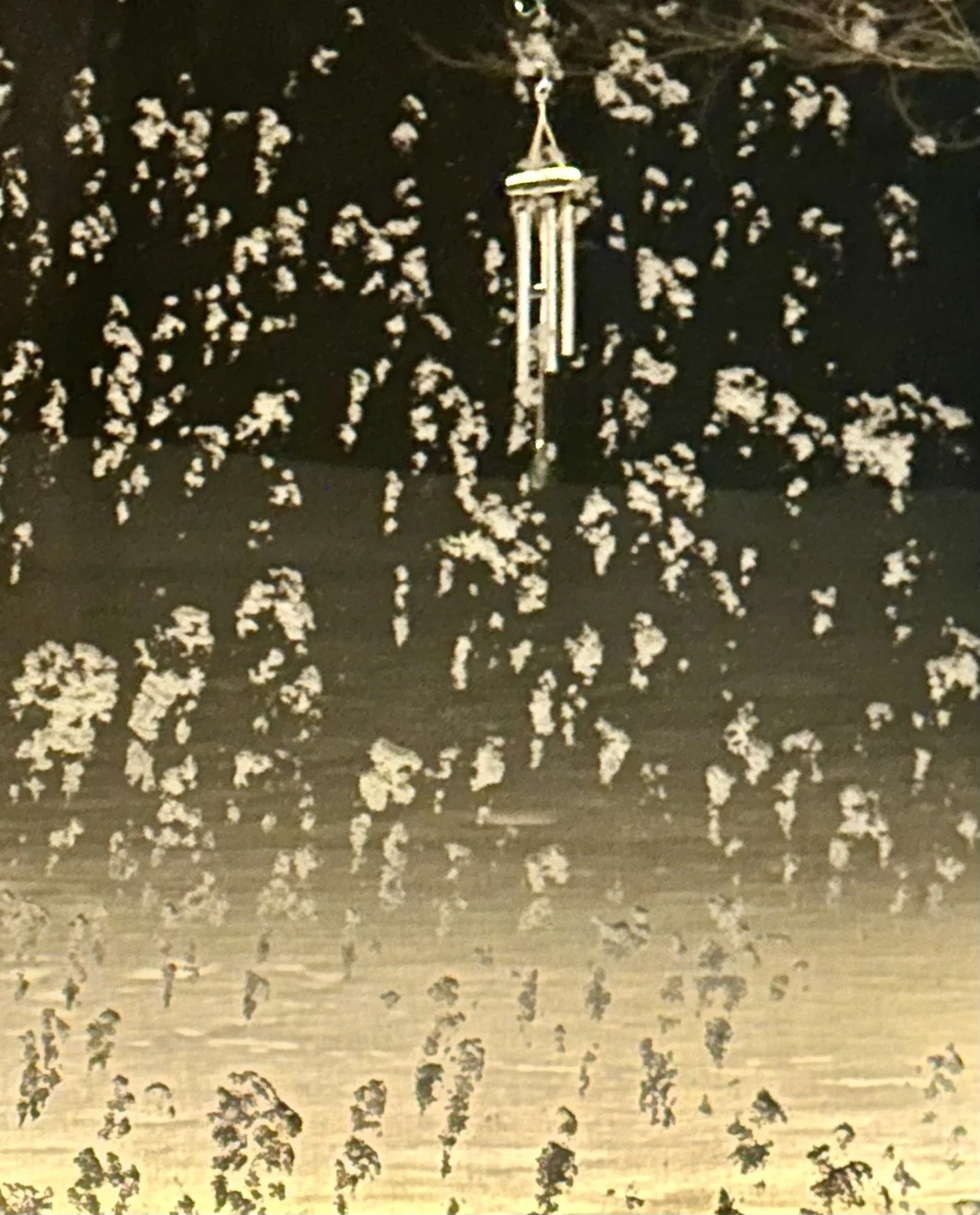  Here’s the scene at midnight, welcoming 2026 