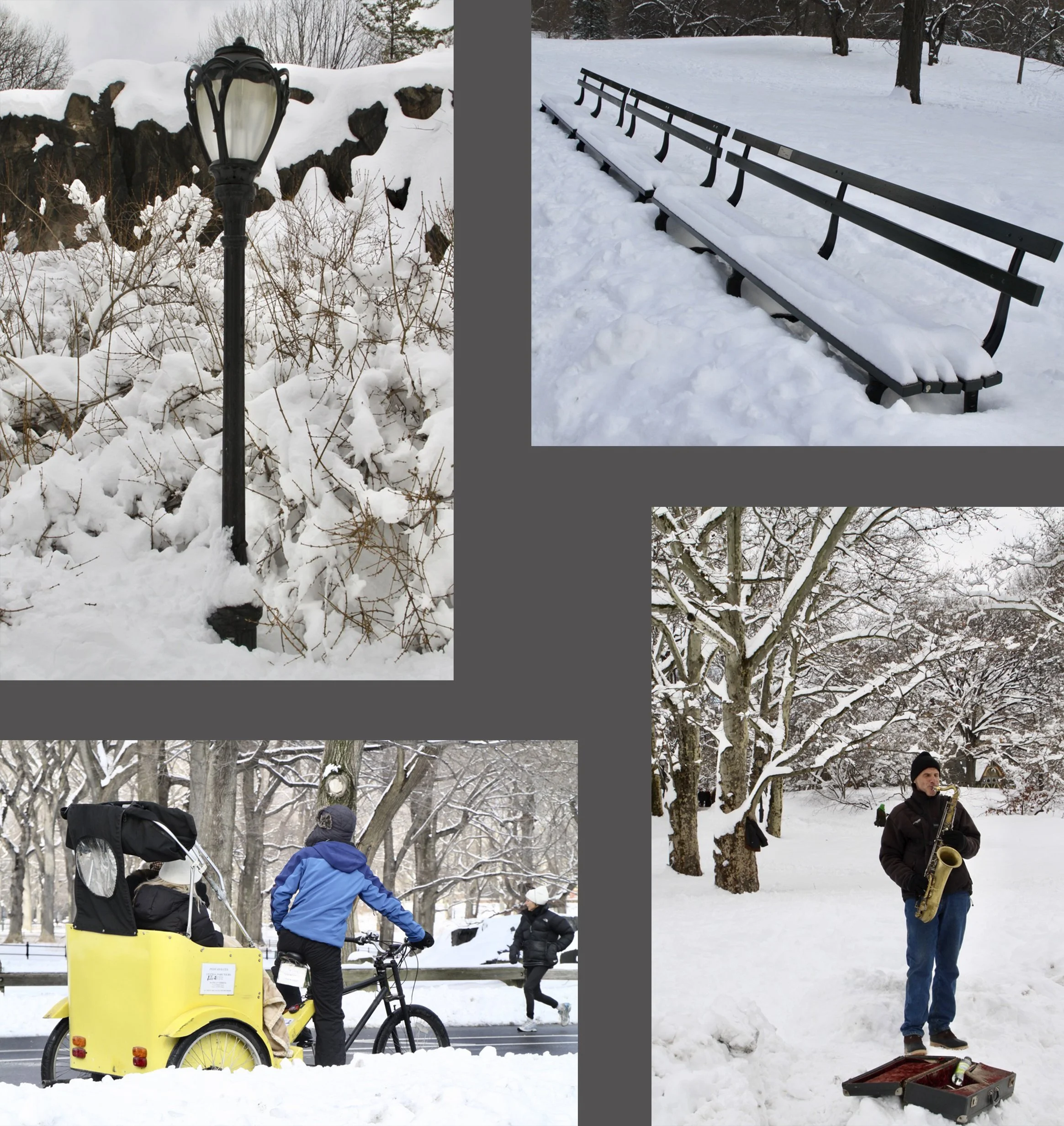  Four shots of self-explanatory Park sights. 