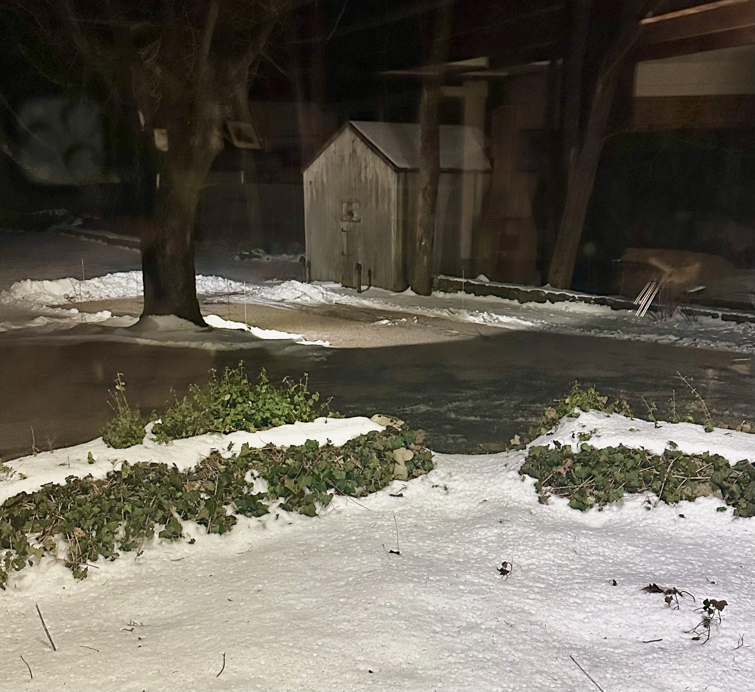  . . . and our driveway appears usable. 