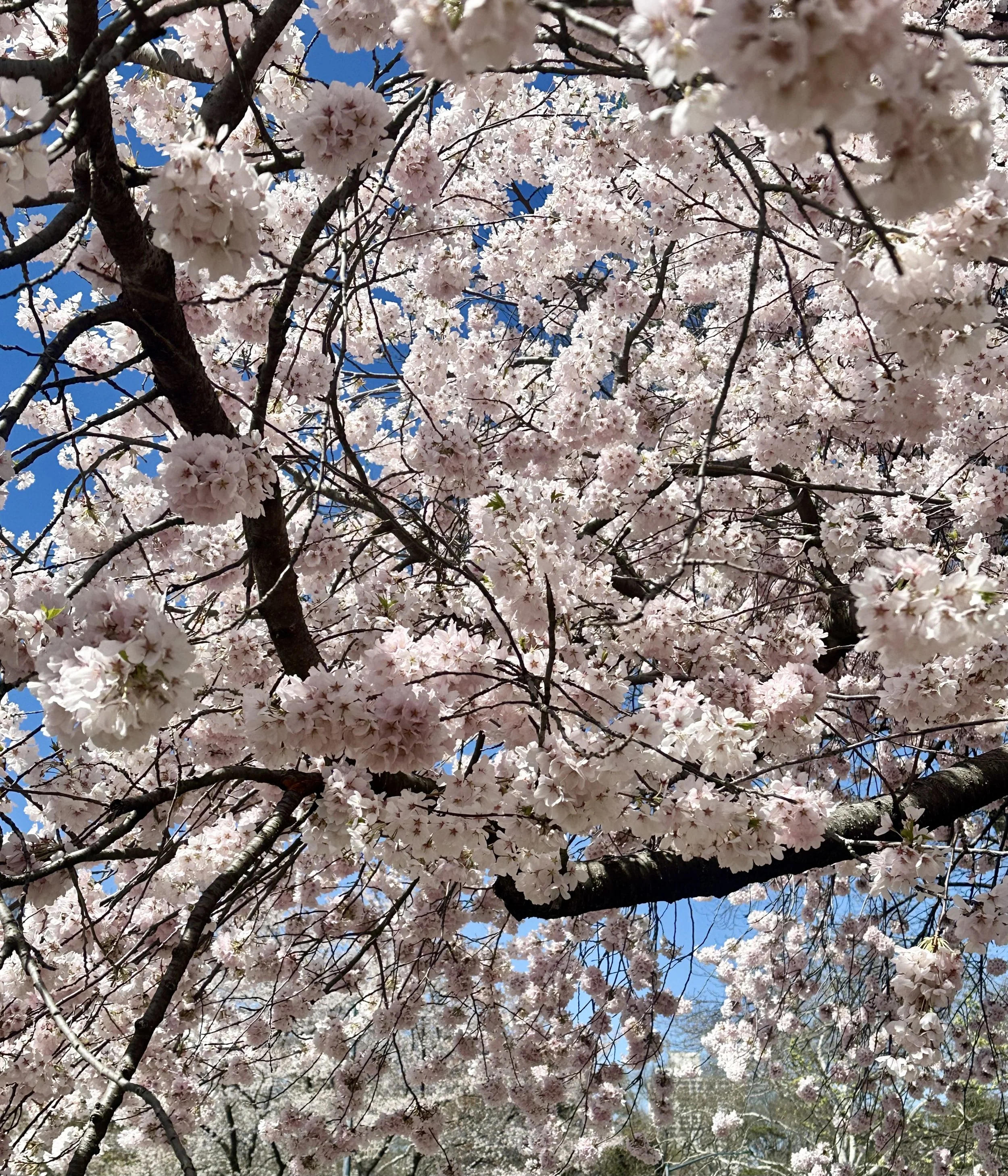  Lovely stuff . . . . 