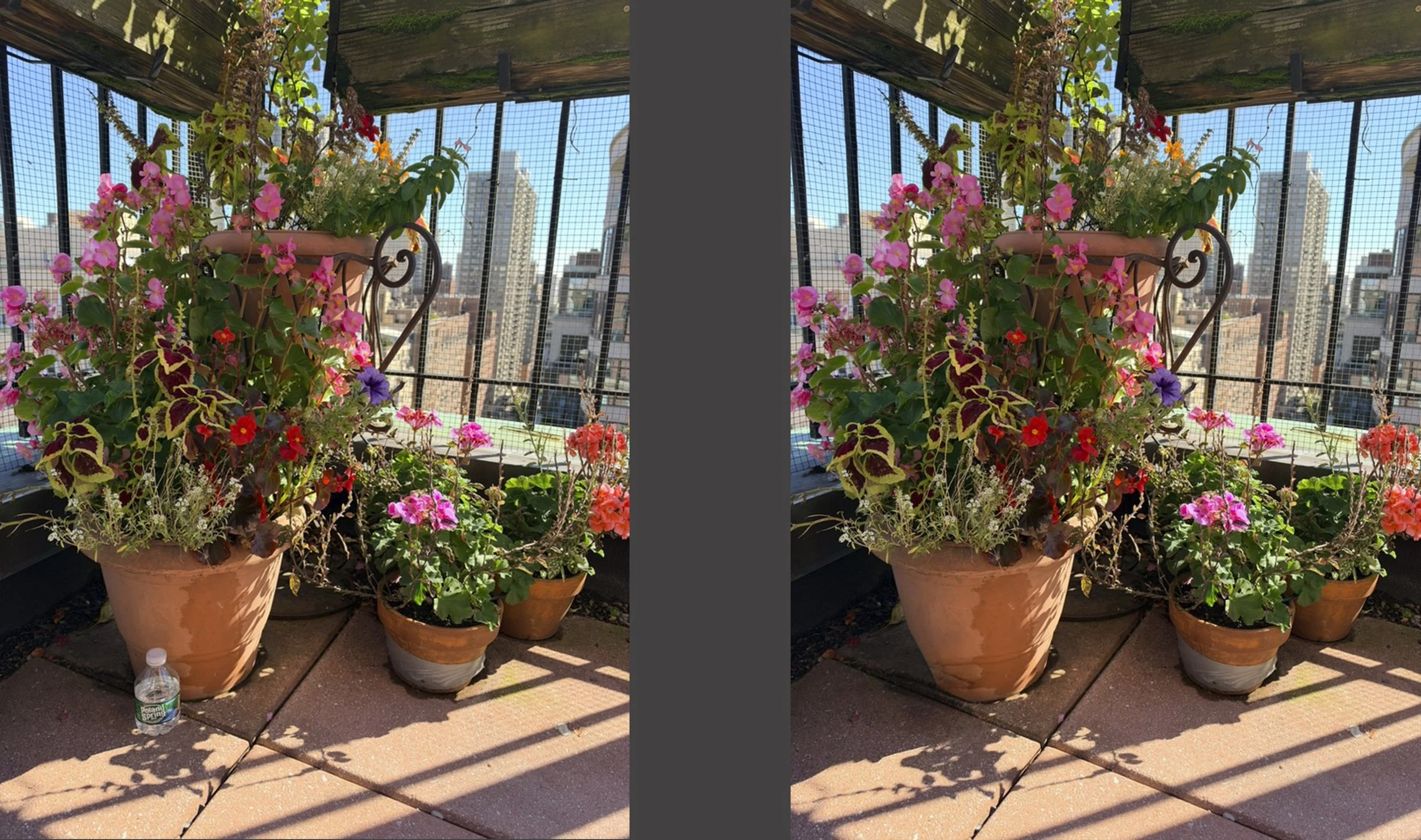 In the picture on the left, you’ll notice there’s a stray water bottle at the foot of the flower pot, which takes away from the quality of the photo. Using a cleanup feature in the camera, the bottle has now been erased and the shot enhanced. 