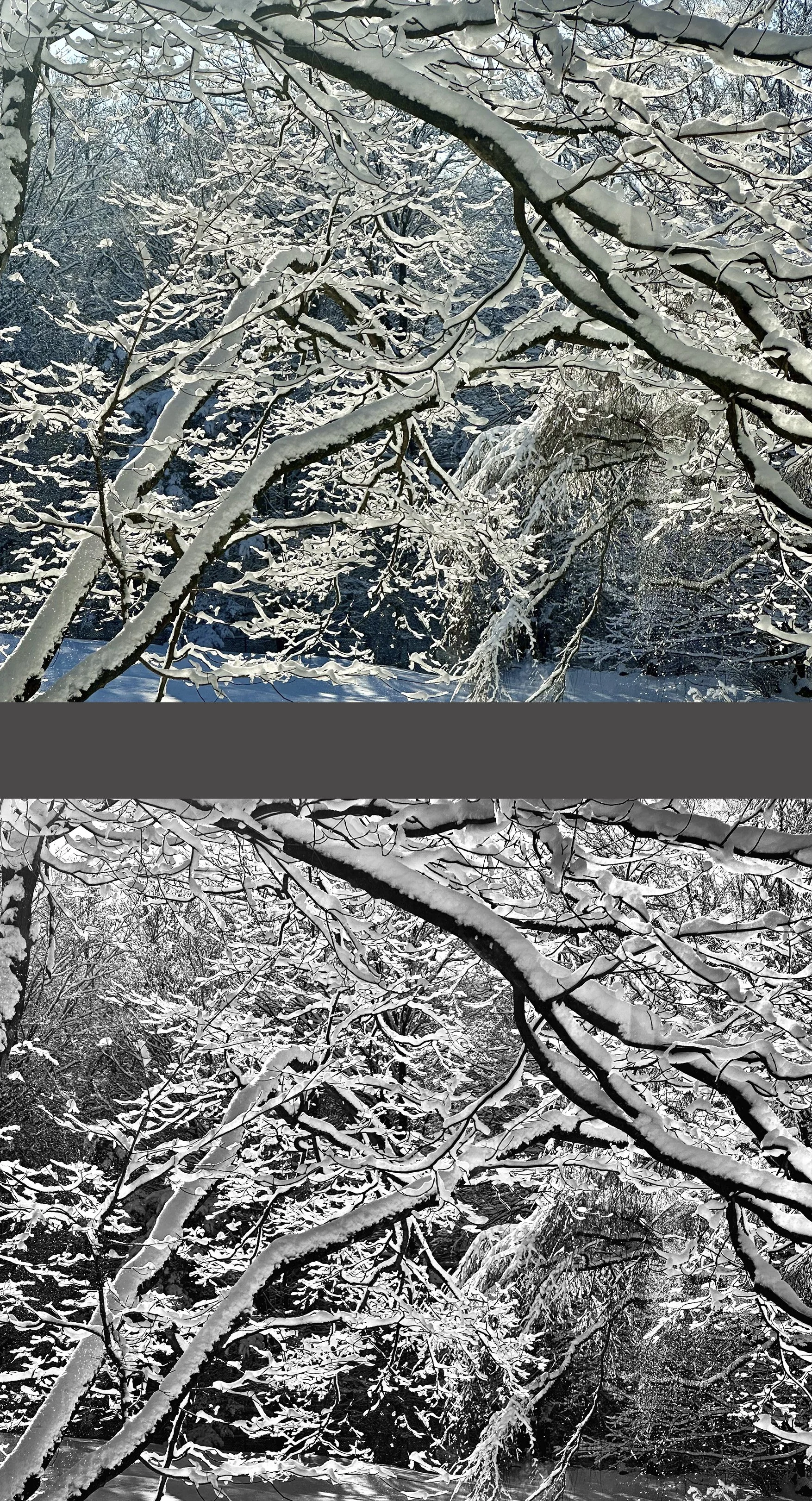  Both of these views are attractive, so it’s simply a matter of taste. 