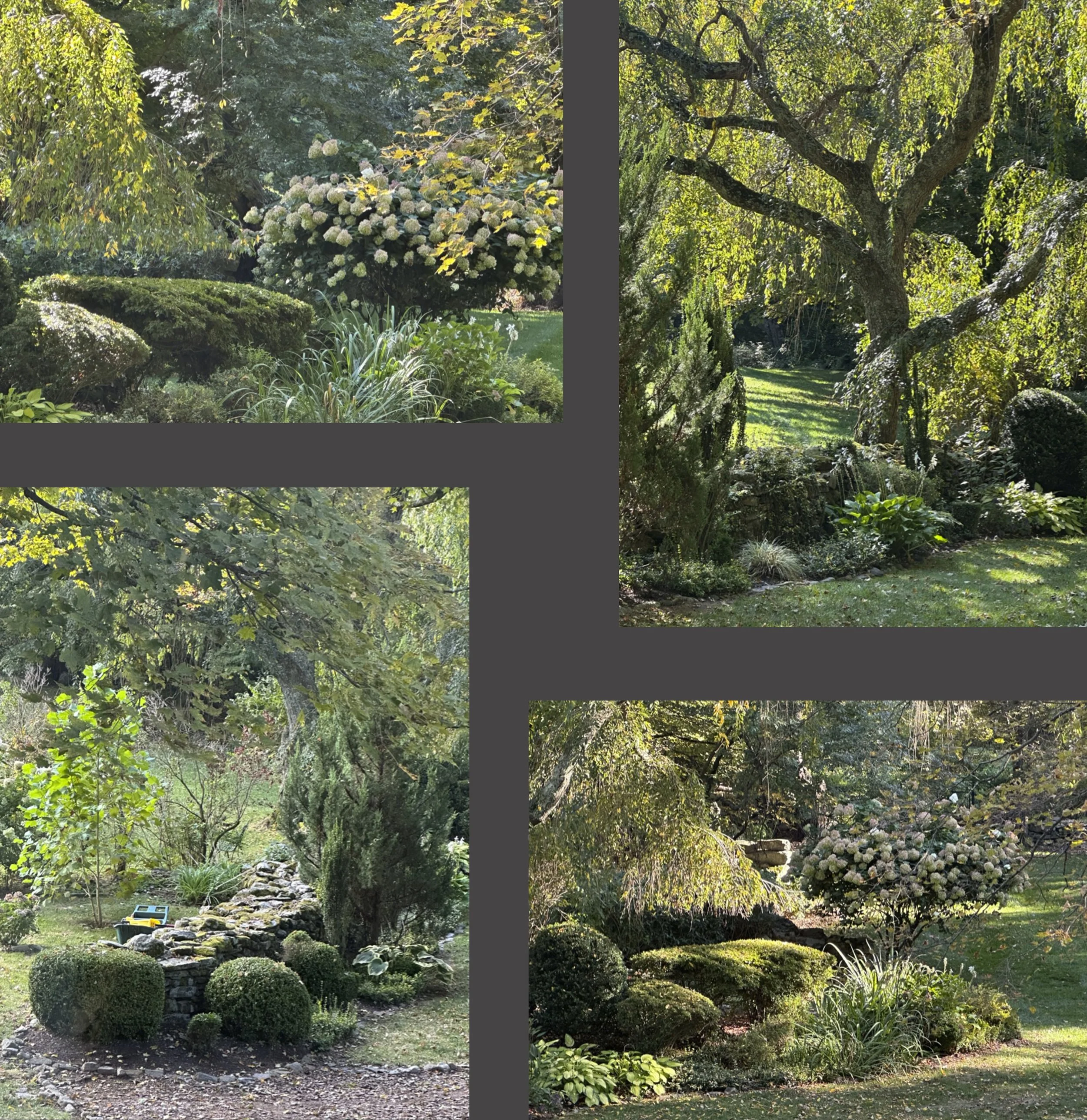 Here’s a portfolio of photos I took this month on my cellphone, mostly through the glass windows of our weekend house in CT, looking out on the pastoral scene that surrounds us.