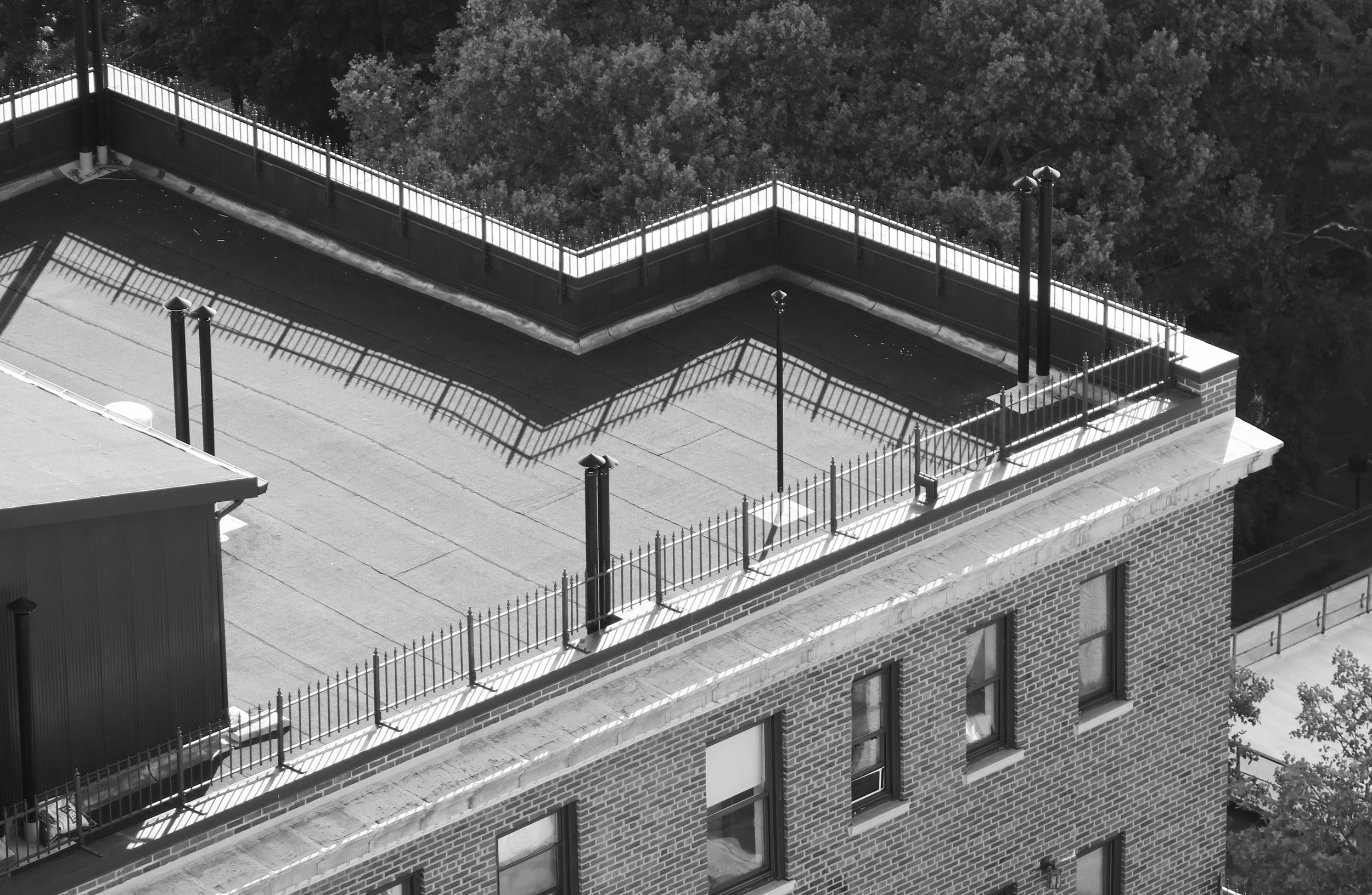  Lots of photographic shadows are big and bold, but here it’s the very delicate ones that caught my eye. 