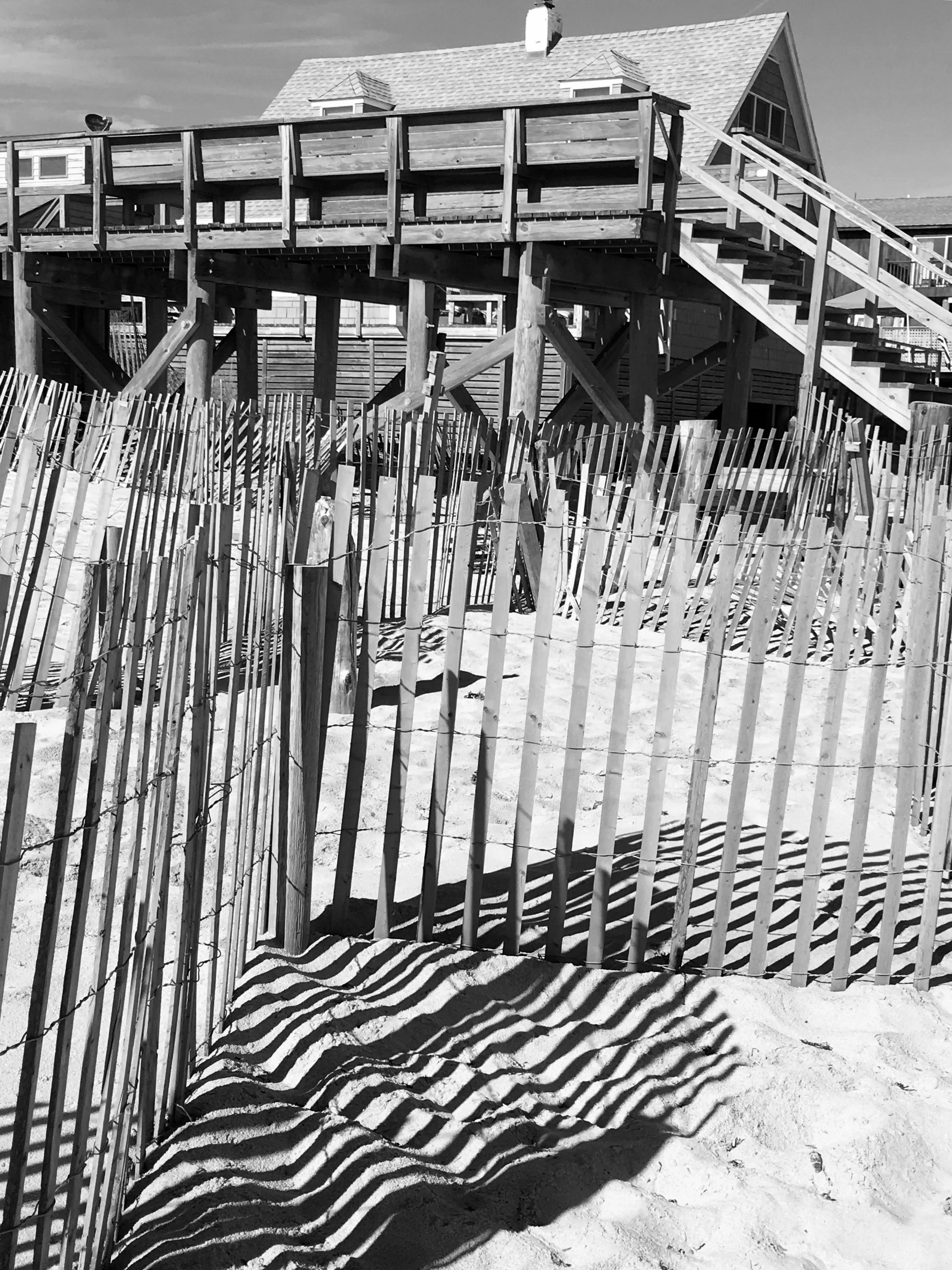  Trees are a prominent source of shadows, but – as this beach scene illustrates – even a plethora of wooden sticks can create interesting shadowy effects. 