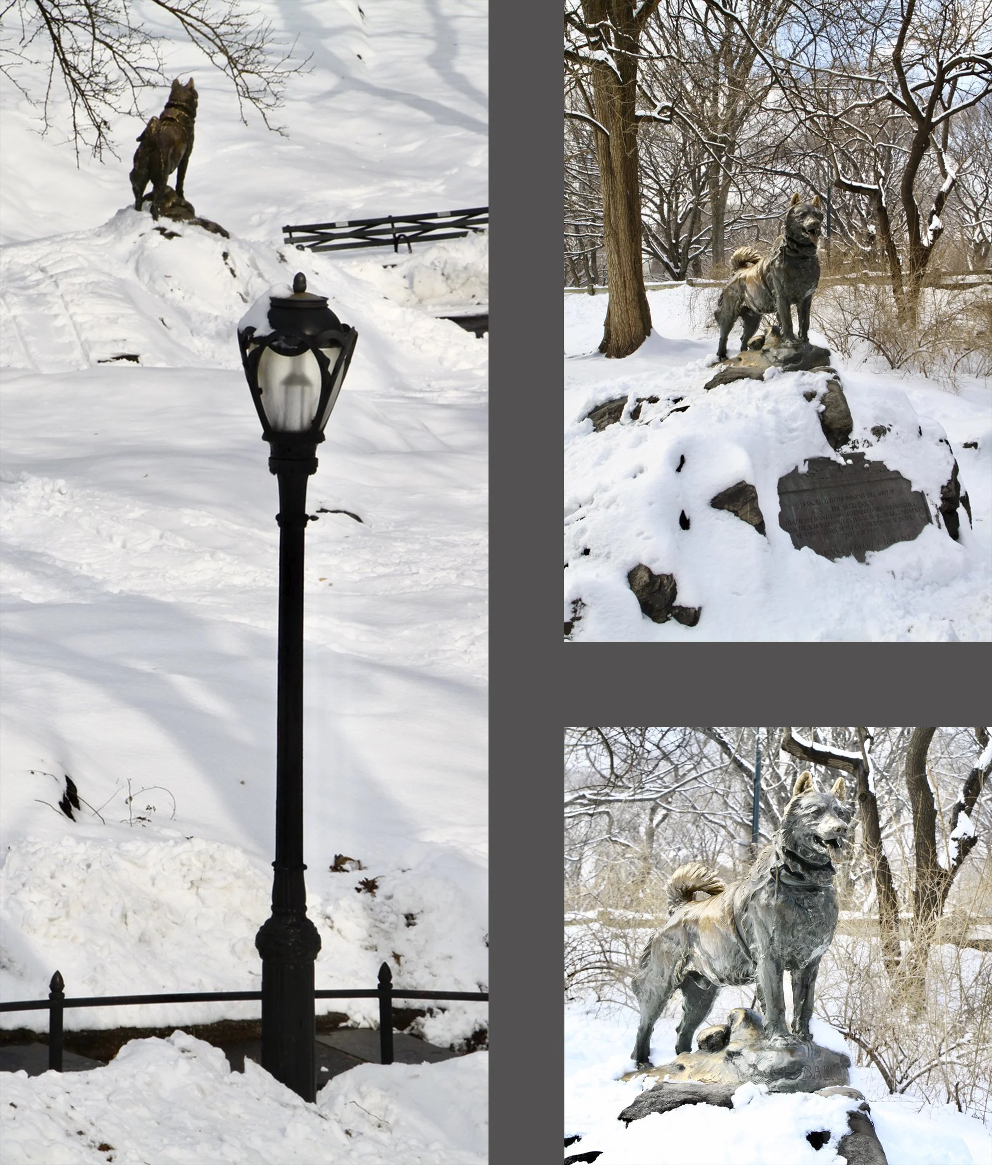  This is the Park’s tribute to the dog (Balto) who delivered the serum that saved the city of Nome, Alaska back in 1925. 