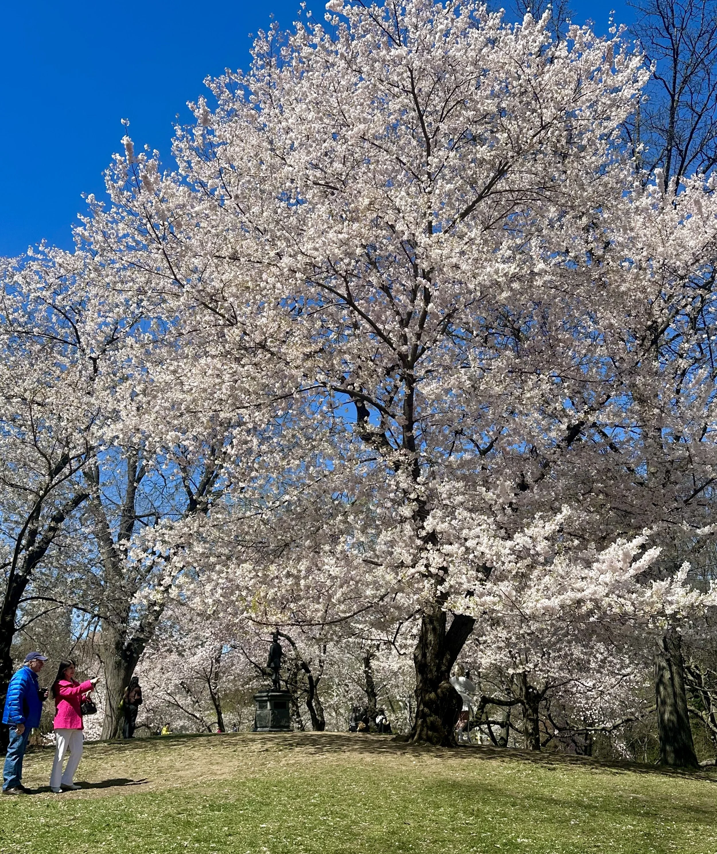  . . . and hitting paydirt. 