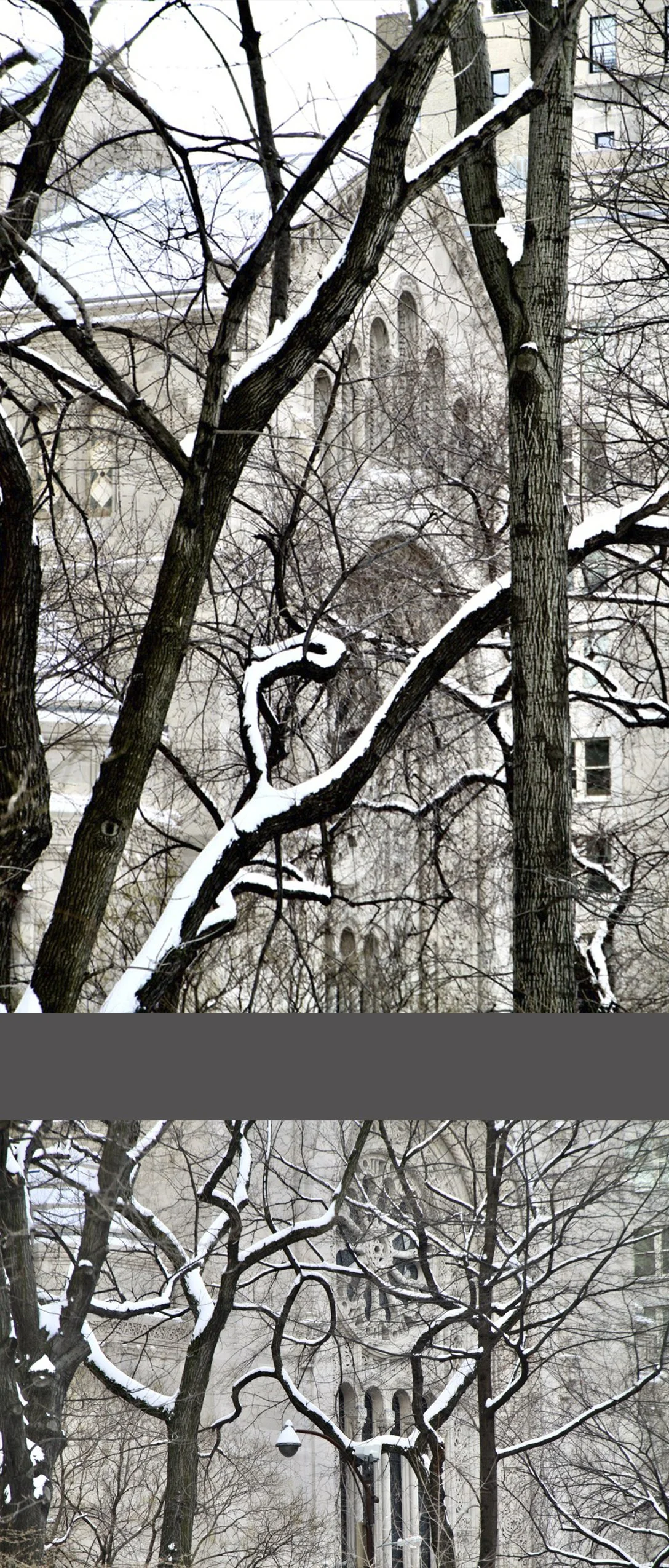  Here are some glimpses of Temple Emanuel (on 5th Avenue) through the snowy Central Park limbs. 